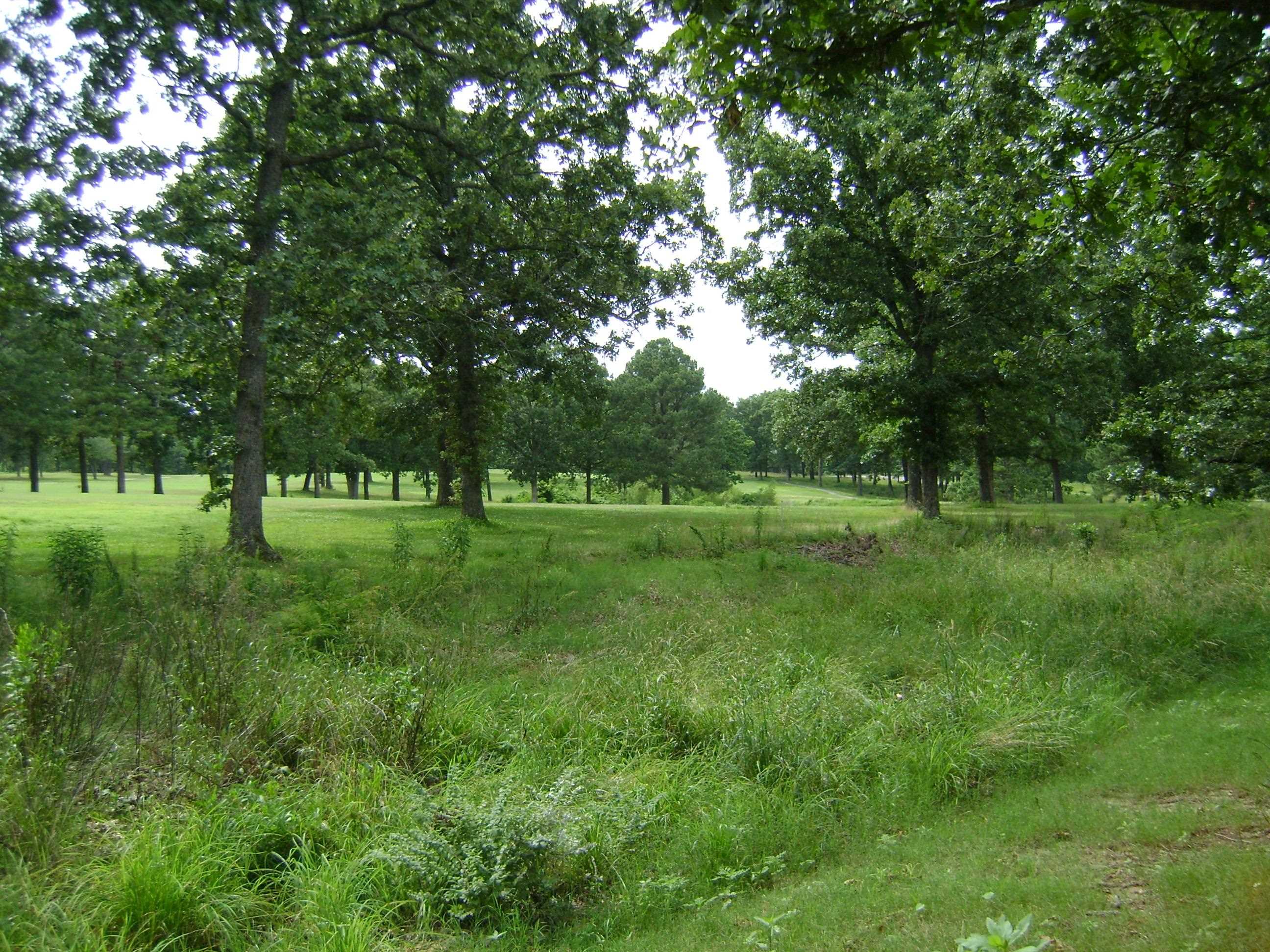 405 Fairway Drive  Horseshoe Bend, AR