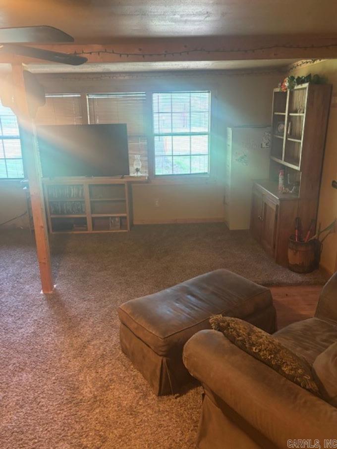 2907 beechnut dr  Pine Bluff, AR