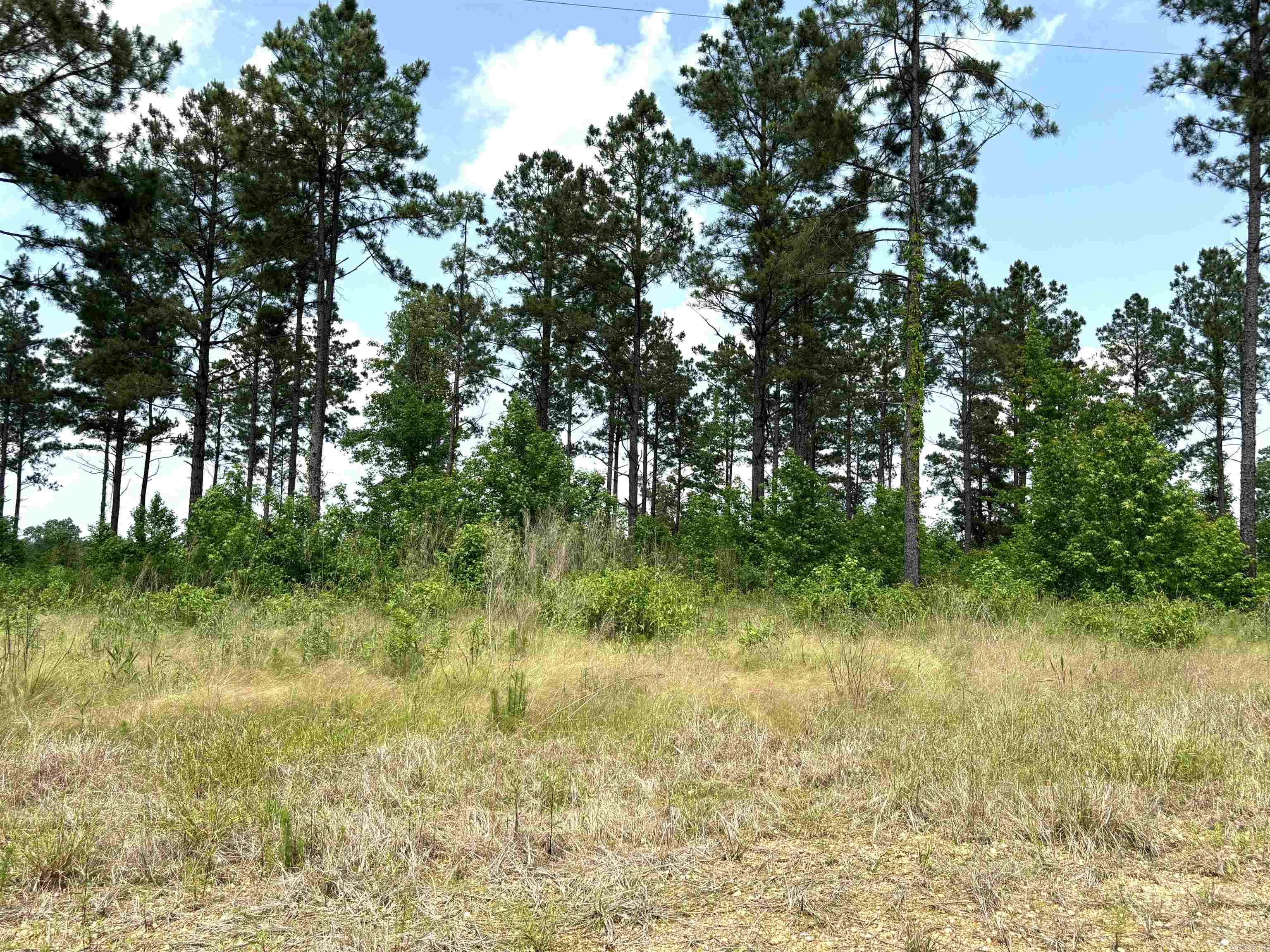 lot 15 Grant County Road 761  Sheridan, AR