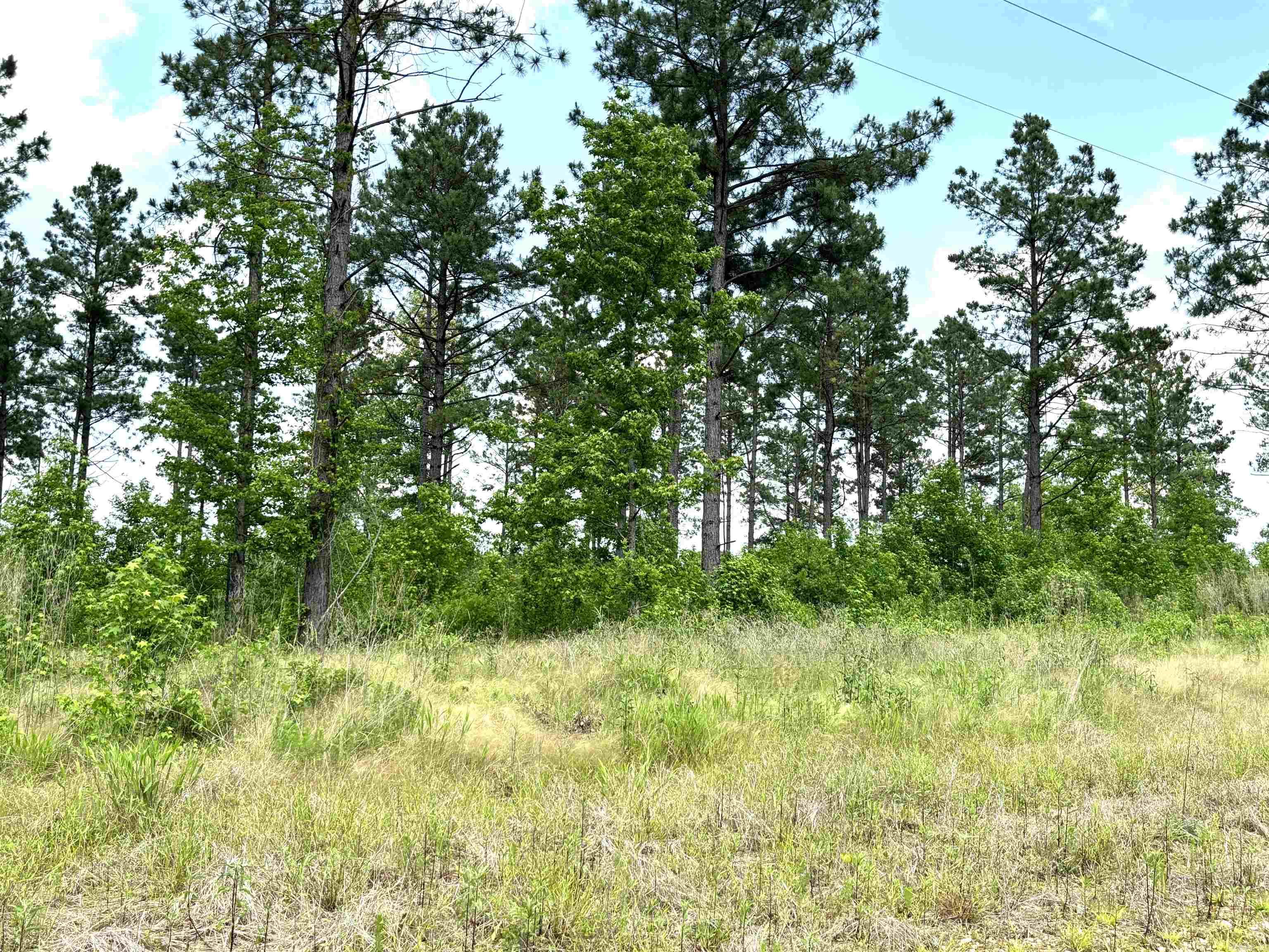 lot 15 Grant County Road 761  Sheridan, AR