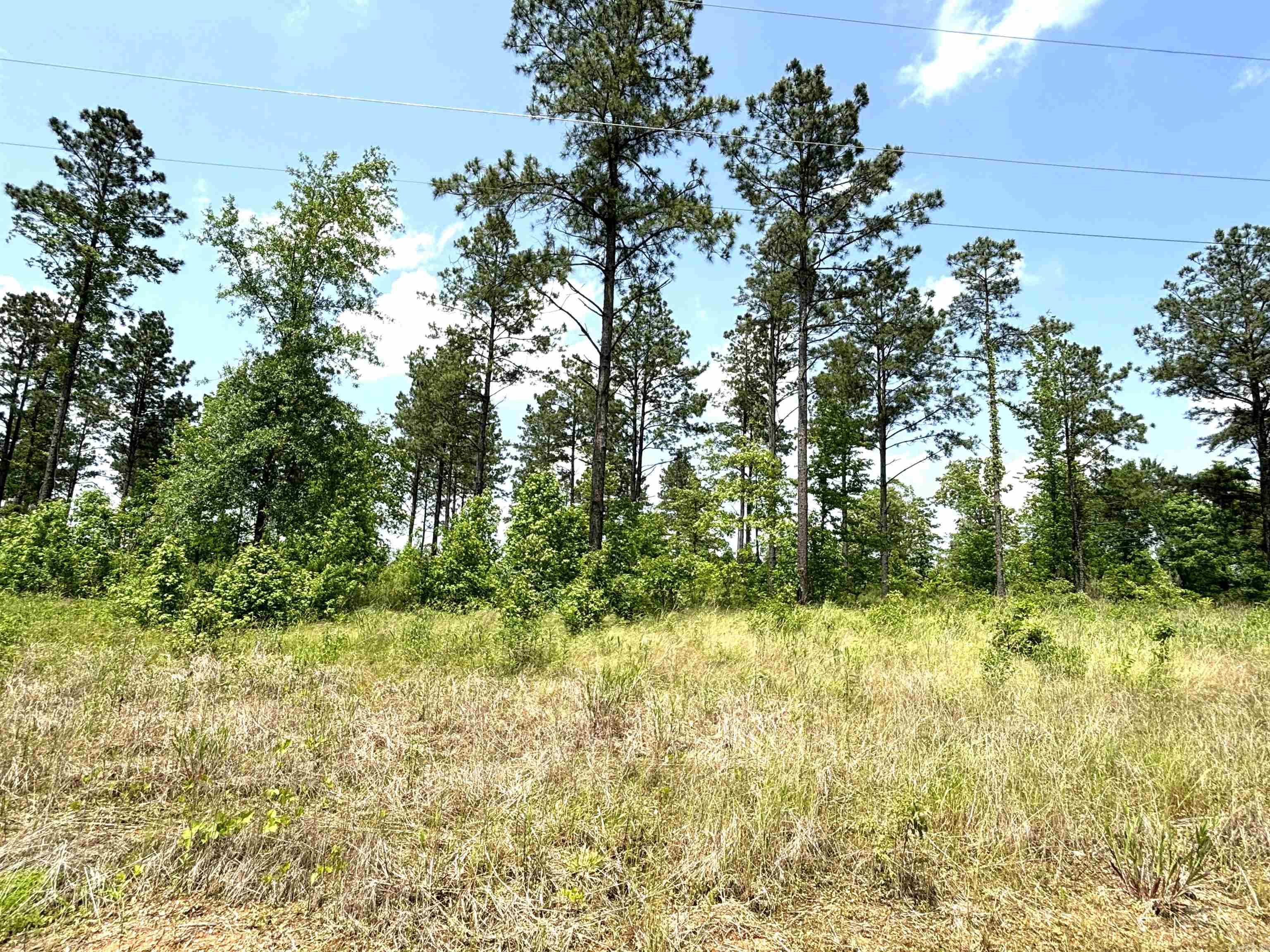lot 15 Grant County Road 761  Sheridan, AR