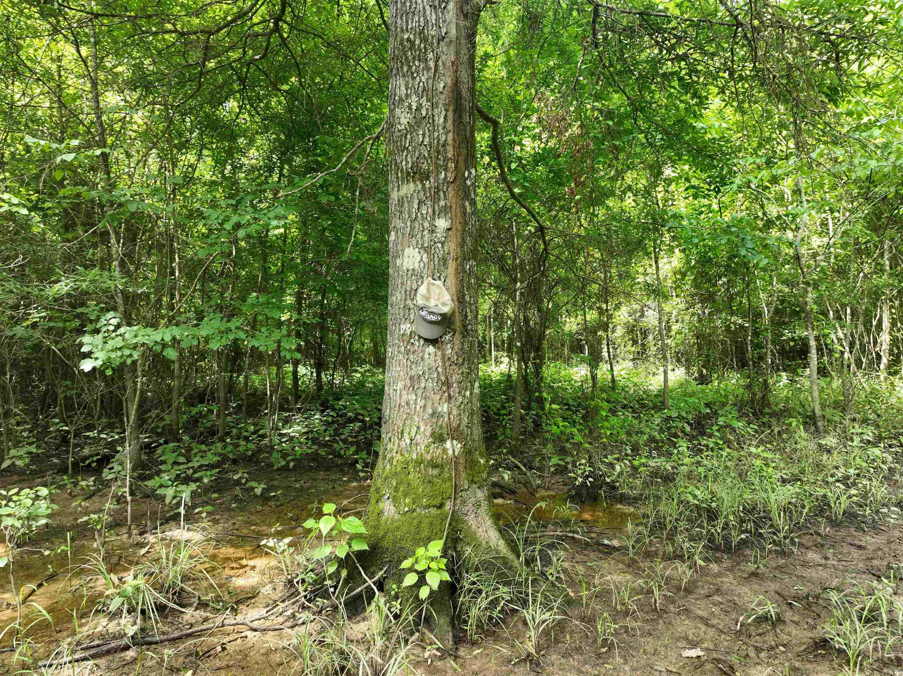 0000 172  Wilmar, AR
