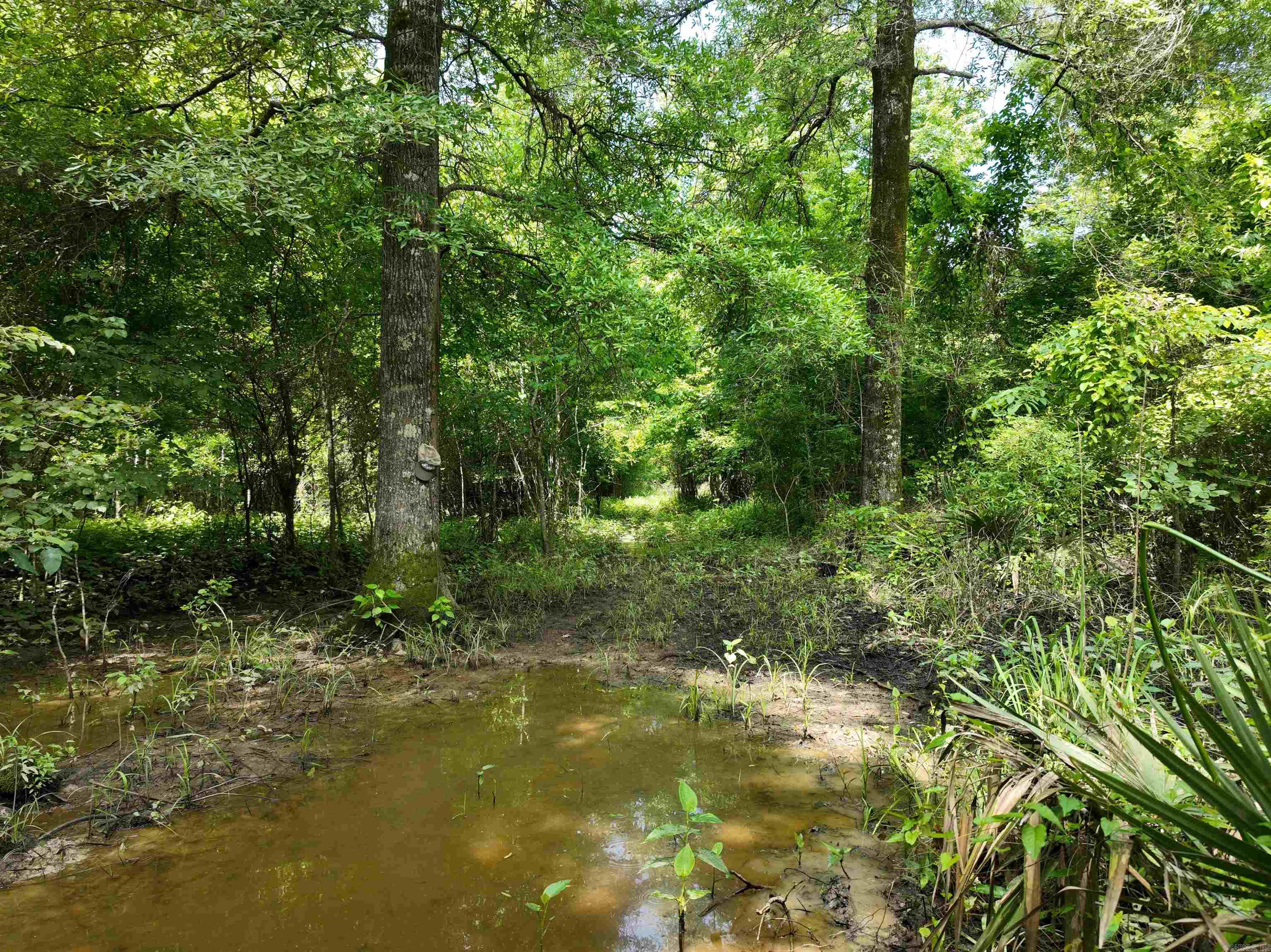 0000 172  Wilmar, AR