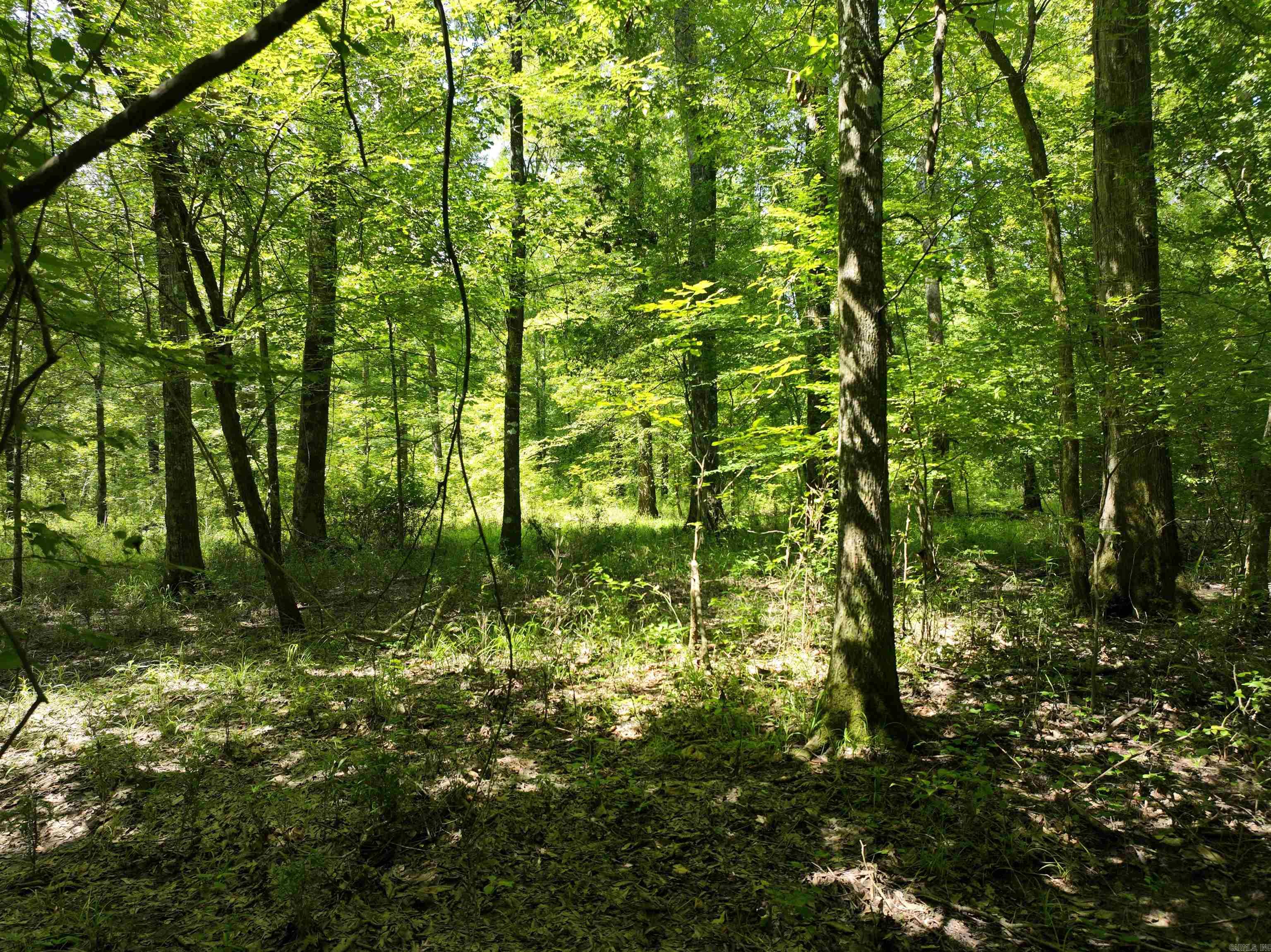 0000 172  Wilmar, AR
