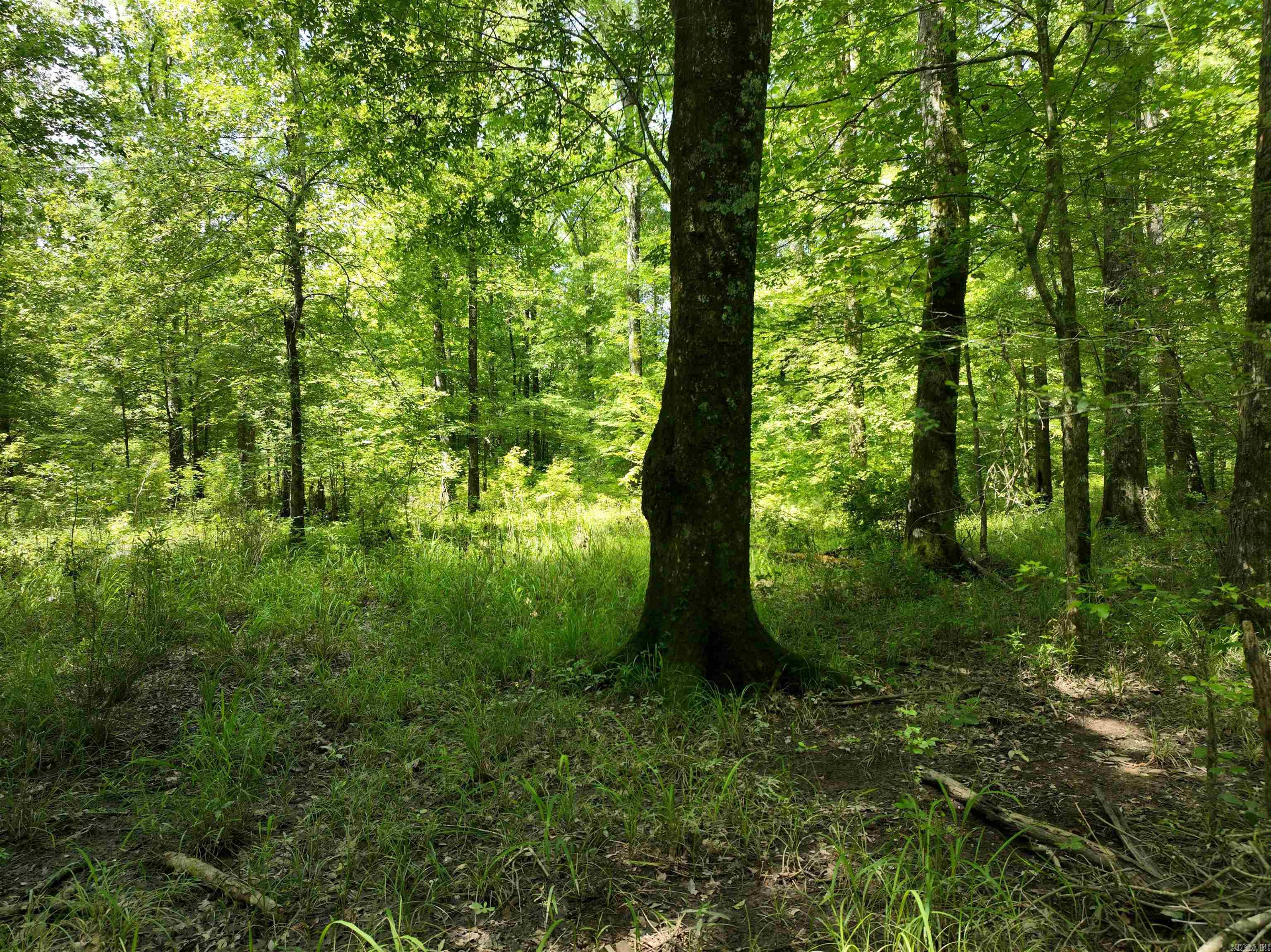 0000 172  Wilmar, AR