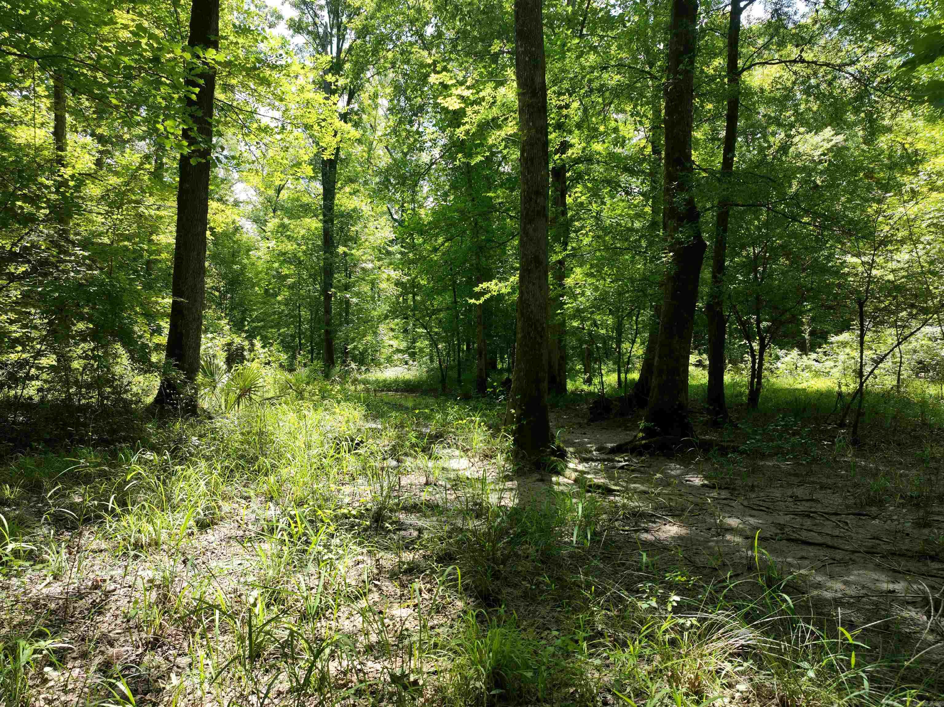 0000 172  Wilmar, AR