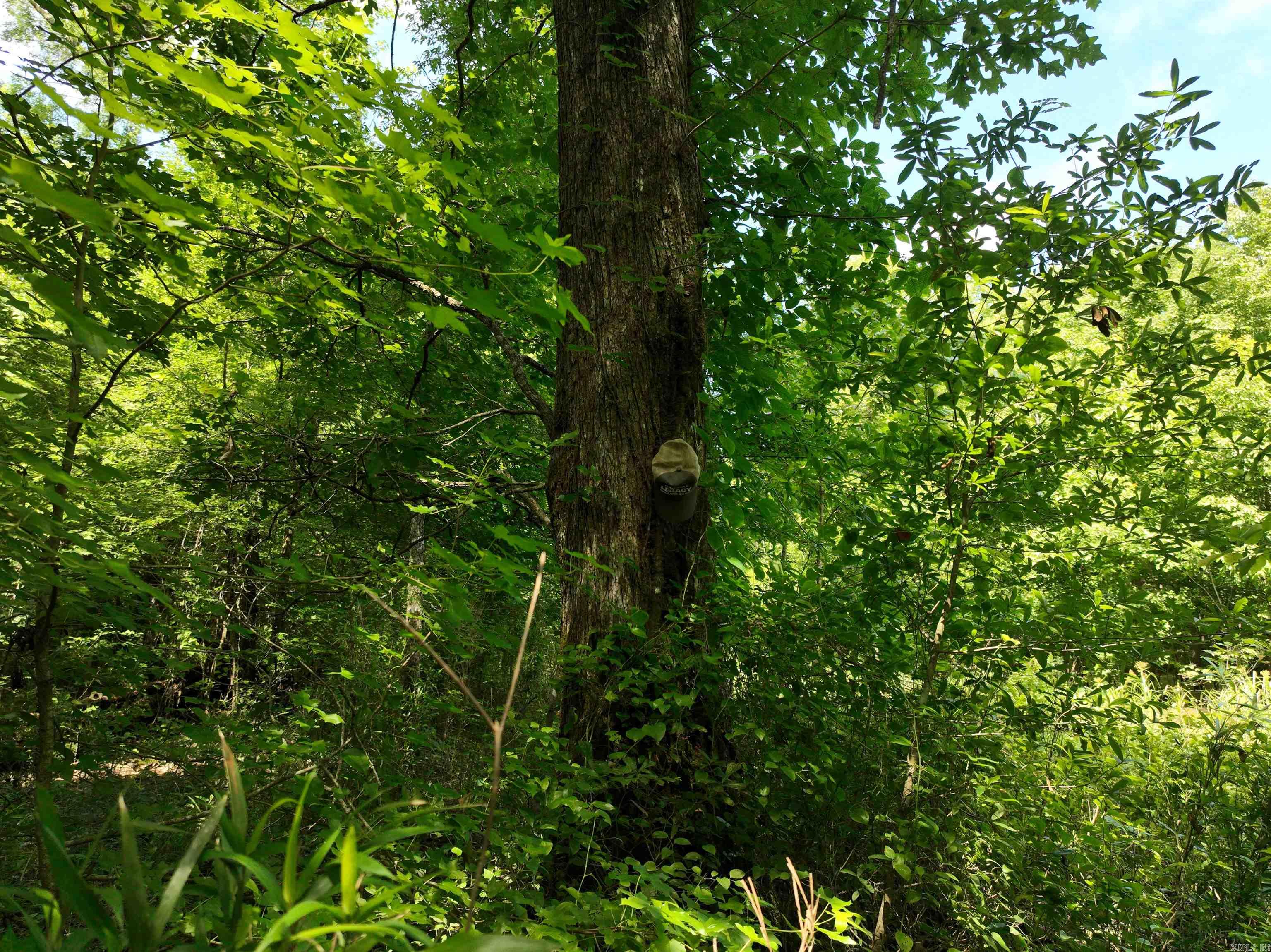 0000 172  Wilmar, AR