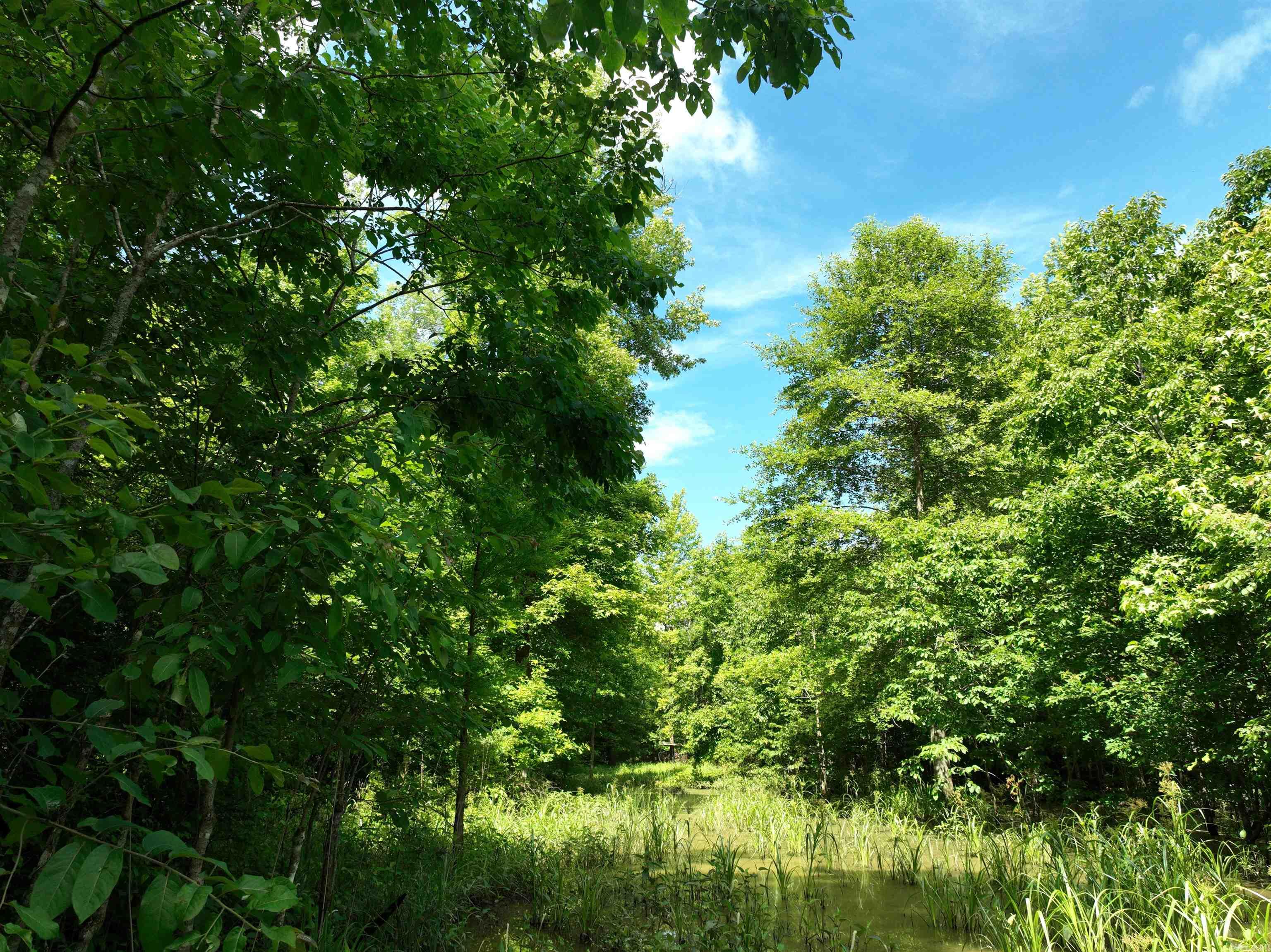 0000 172  Wilmar, AR