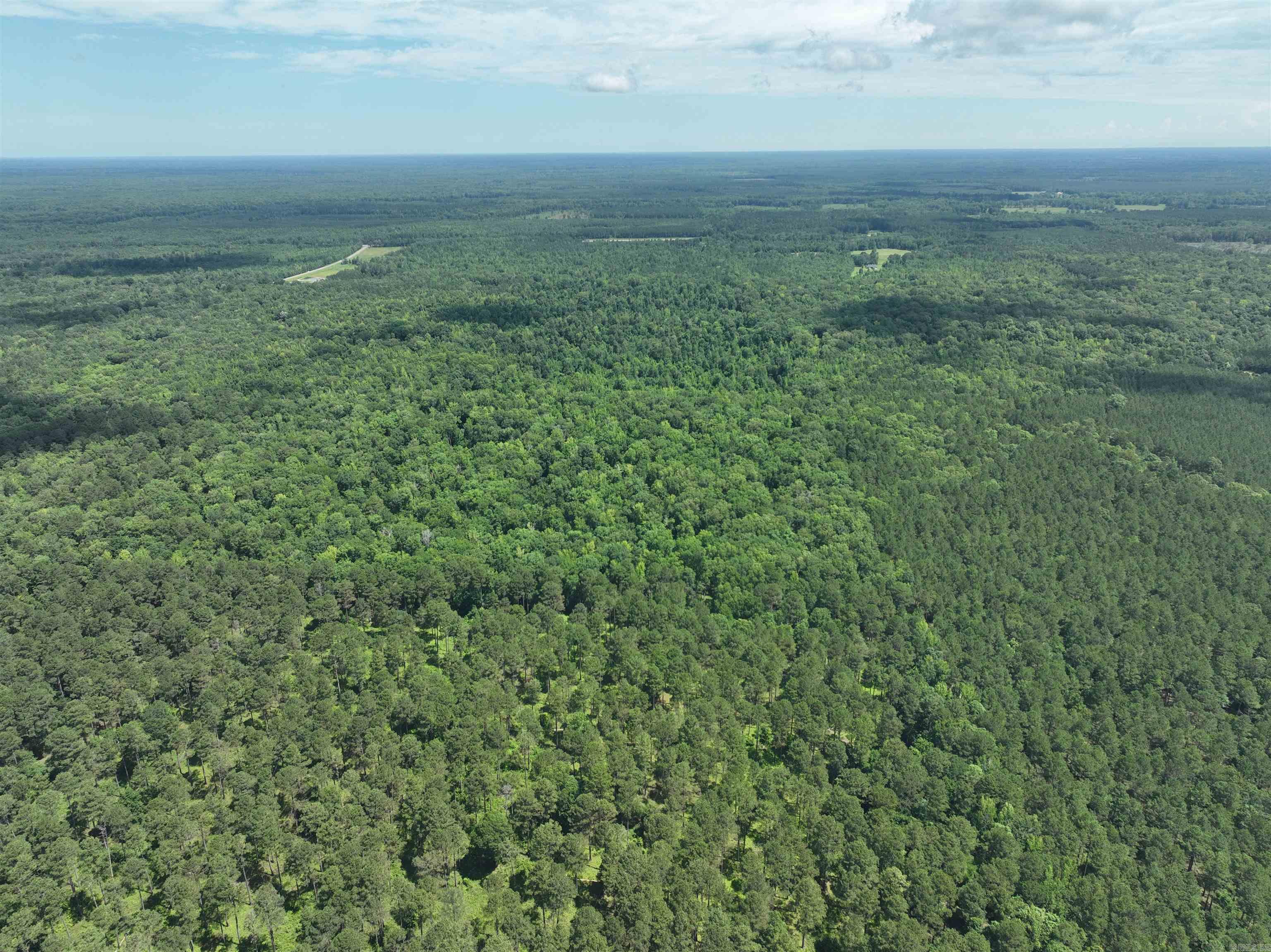 0000 172  Wilmar, AR