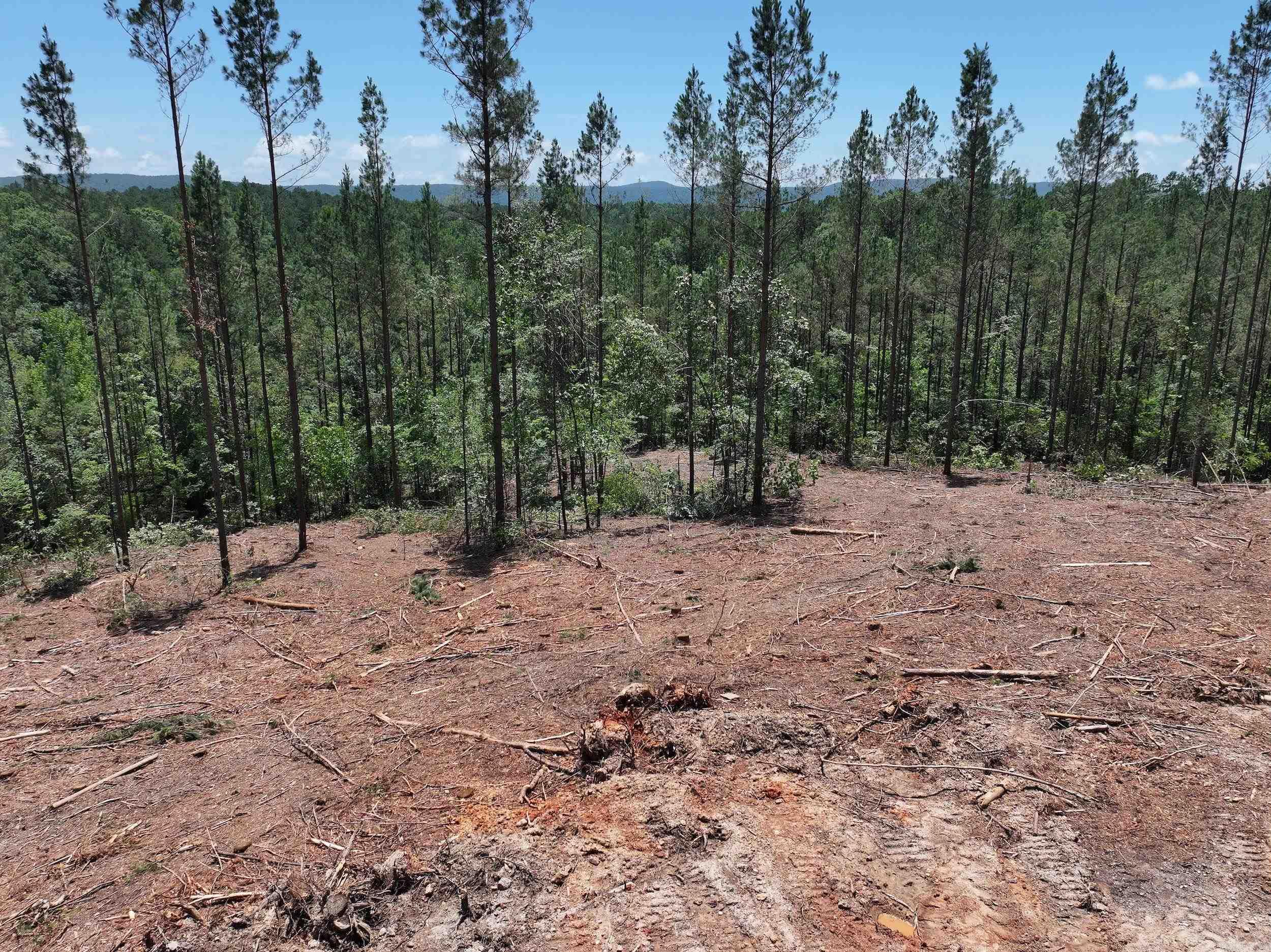 XXX PALMER MOUNTAIN Lot 1 Caddo Gap, AR