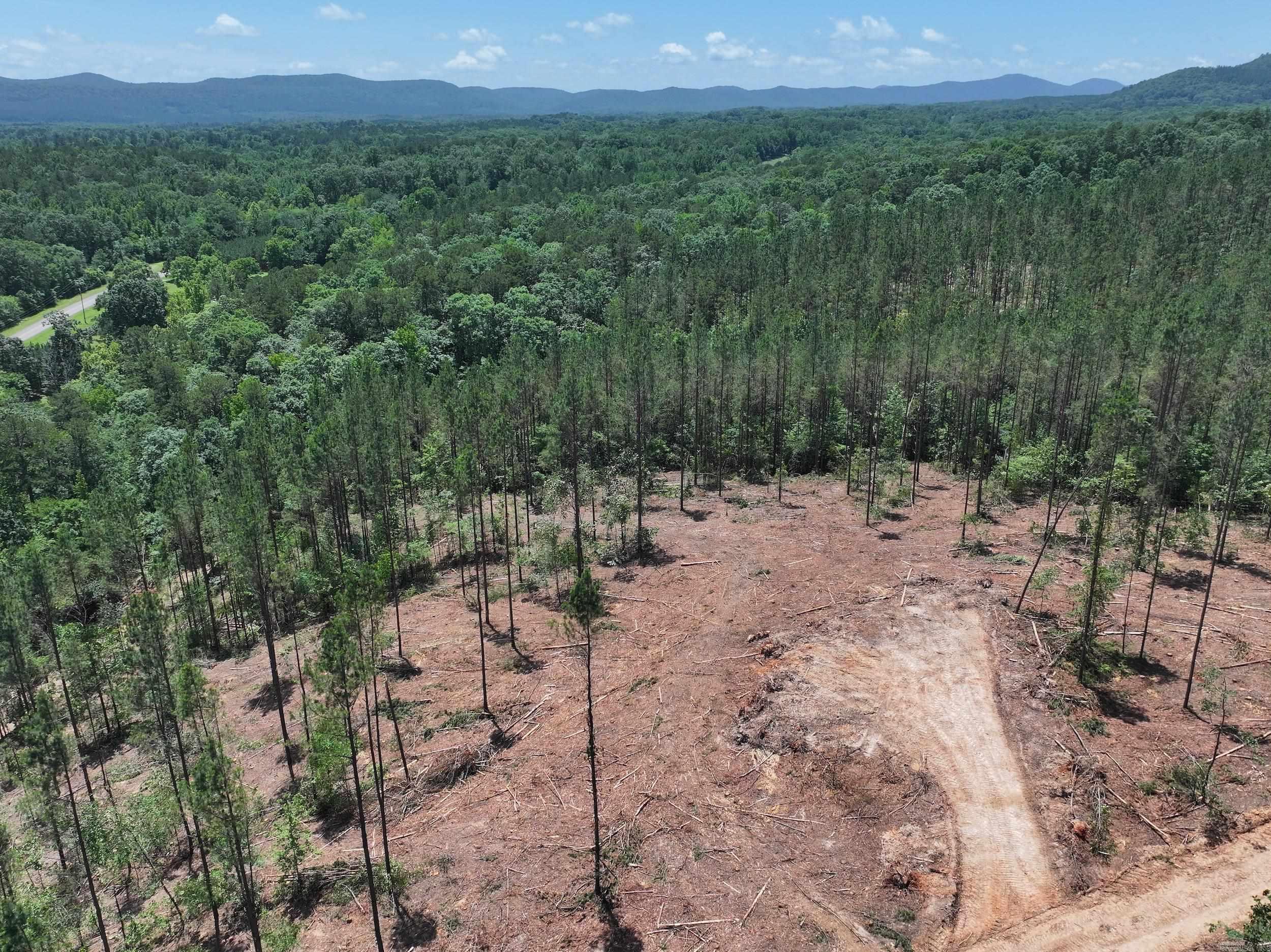 XXX PALMER MOUNTAIN Lot 1 Caddo Gap, AR