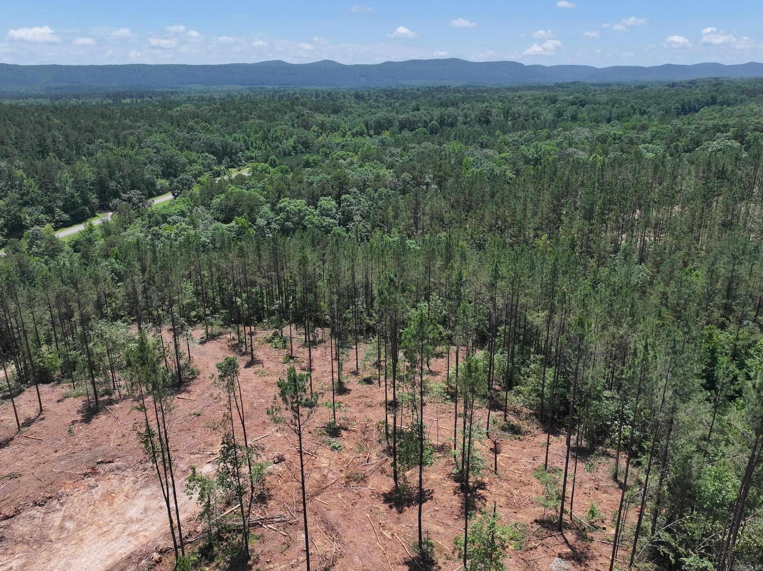 XXX PALMER MOUNTAIN Lot 1 Caddo Gap, AR