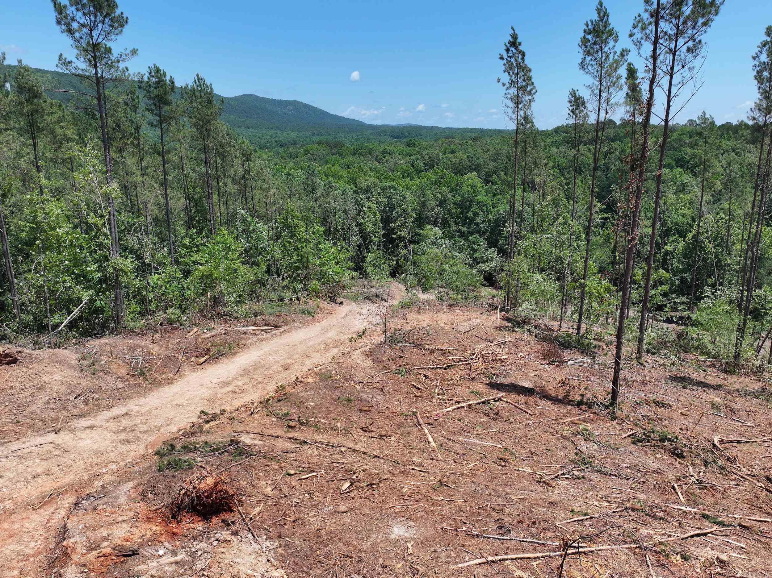 XXX PALMER MOUNTAIN Lot 1 Caddo Gap, AR