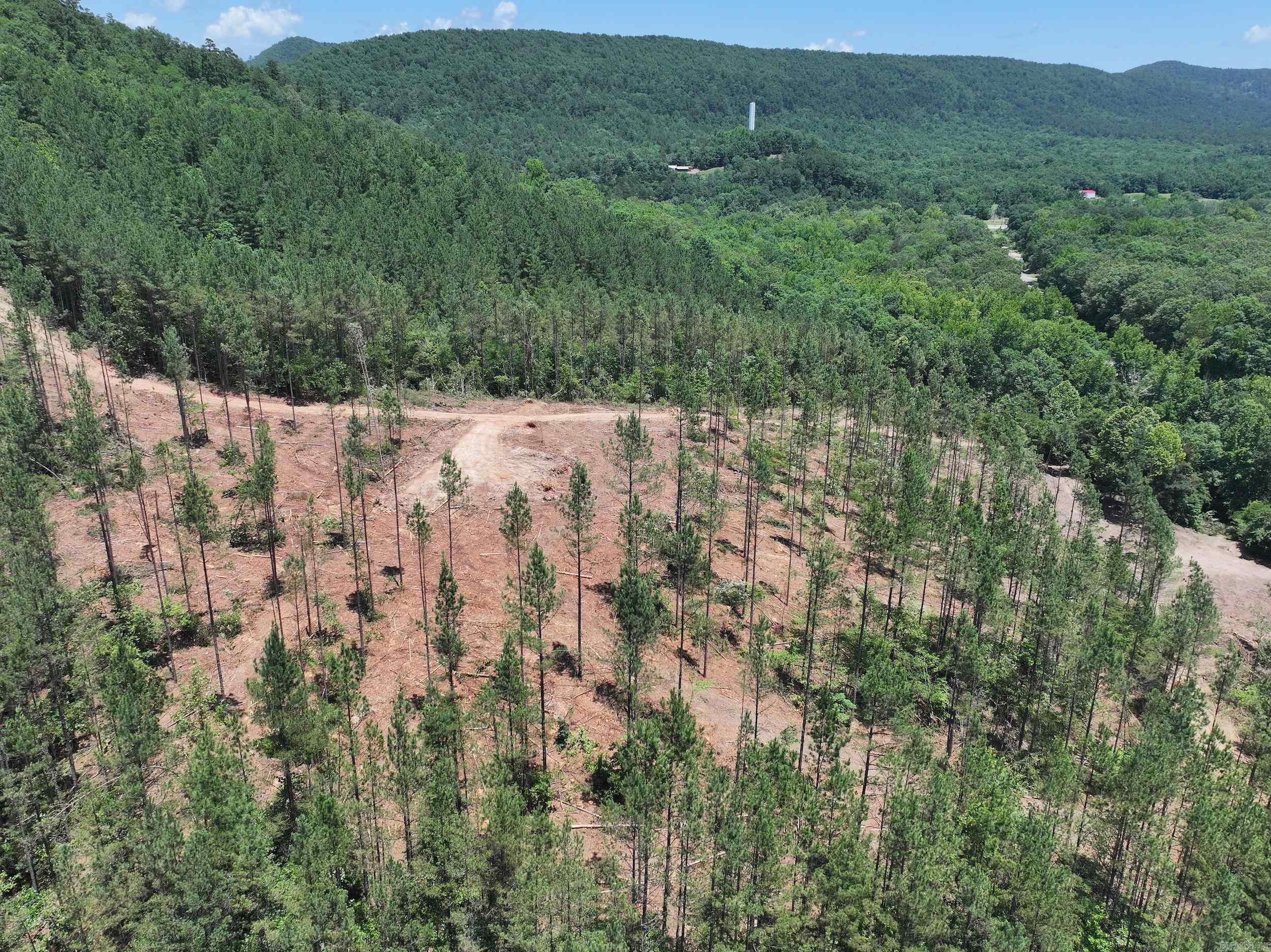 XXX PALMER MOUNTAIN Lot 1 Caddo Gap, AR