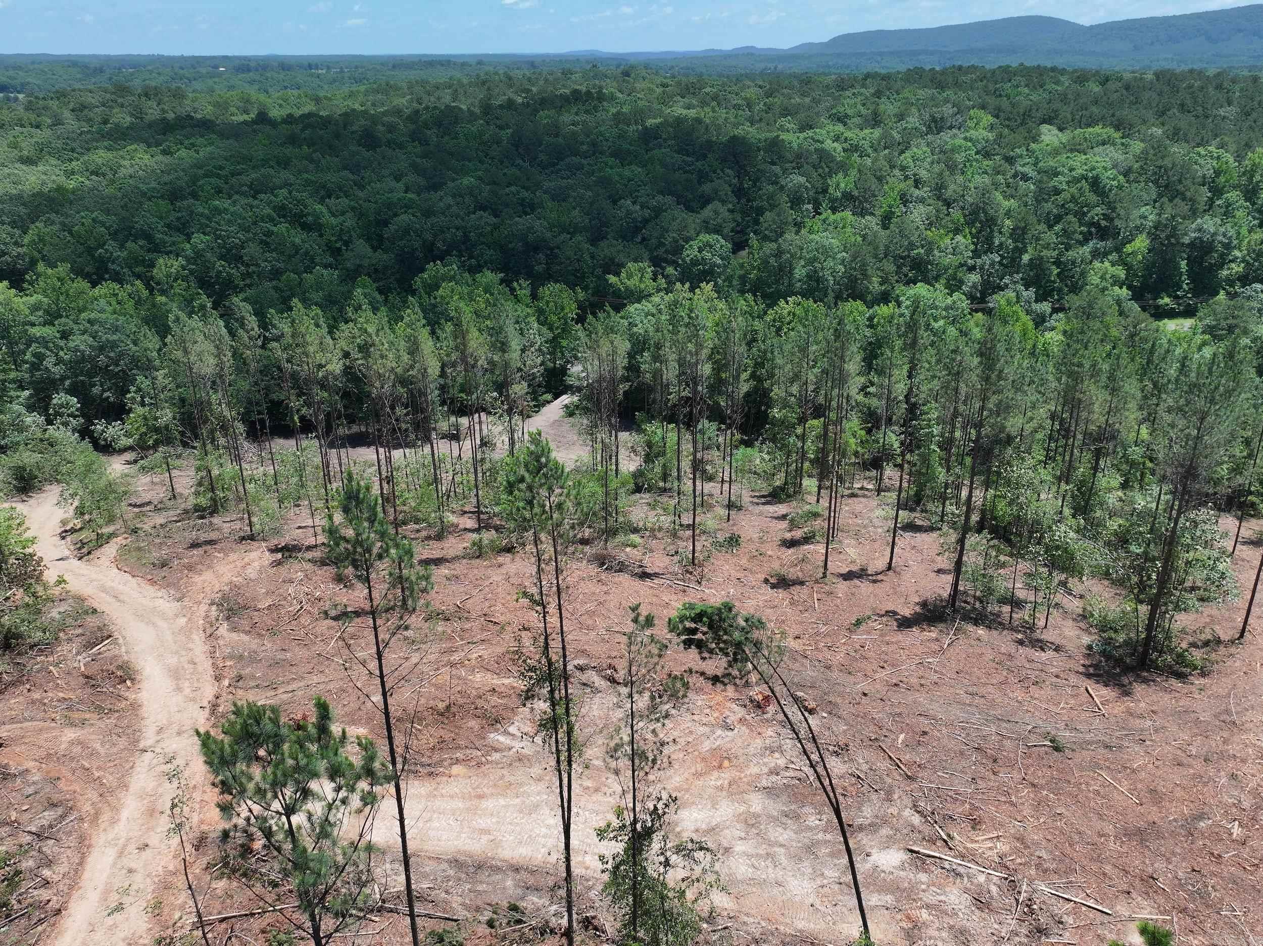 XXX PALMER MOUNTAIN Lot 1 Caddo Gap, AR