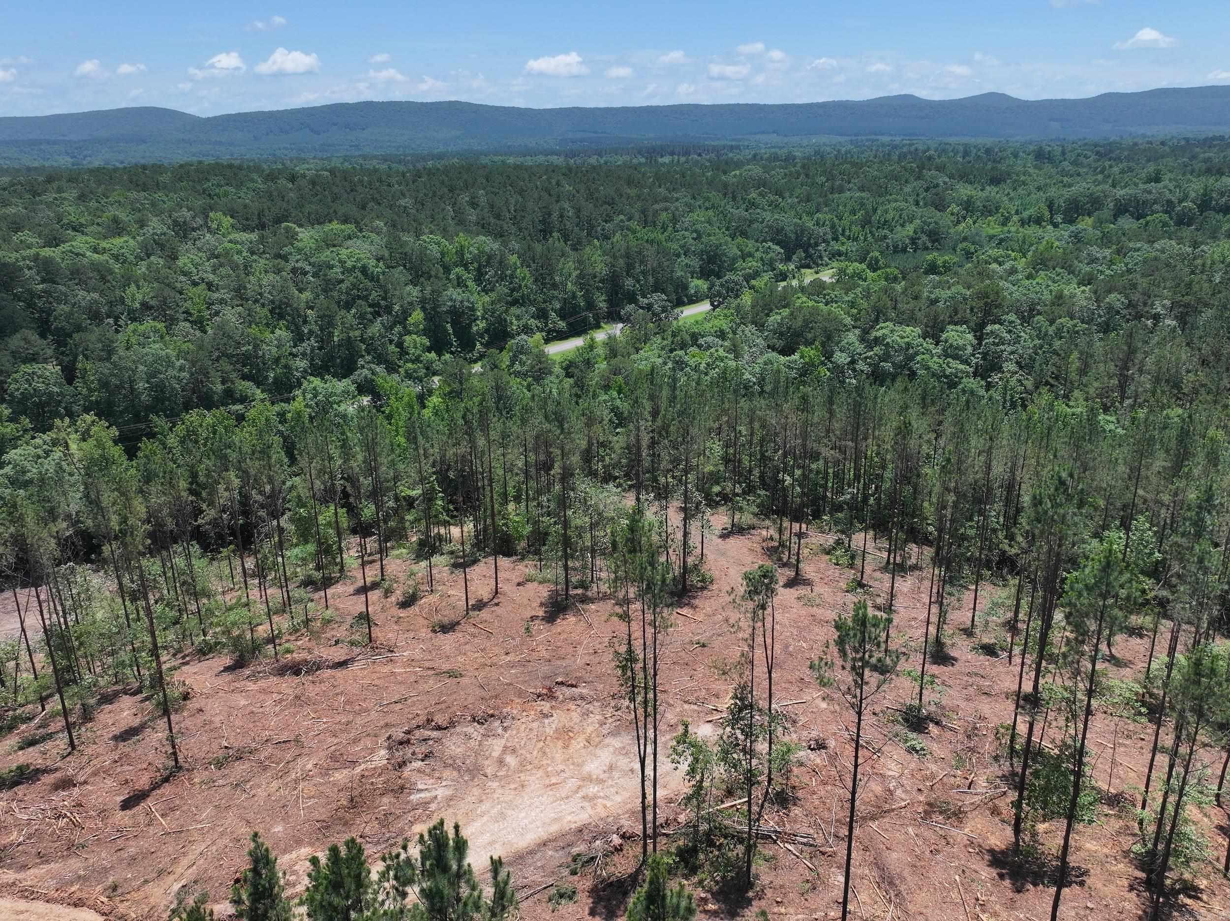 XXX PALMER MOUNTAIN Lot 1 Caddo Gap, AR