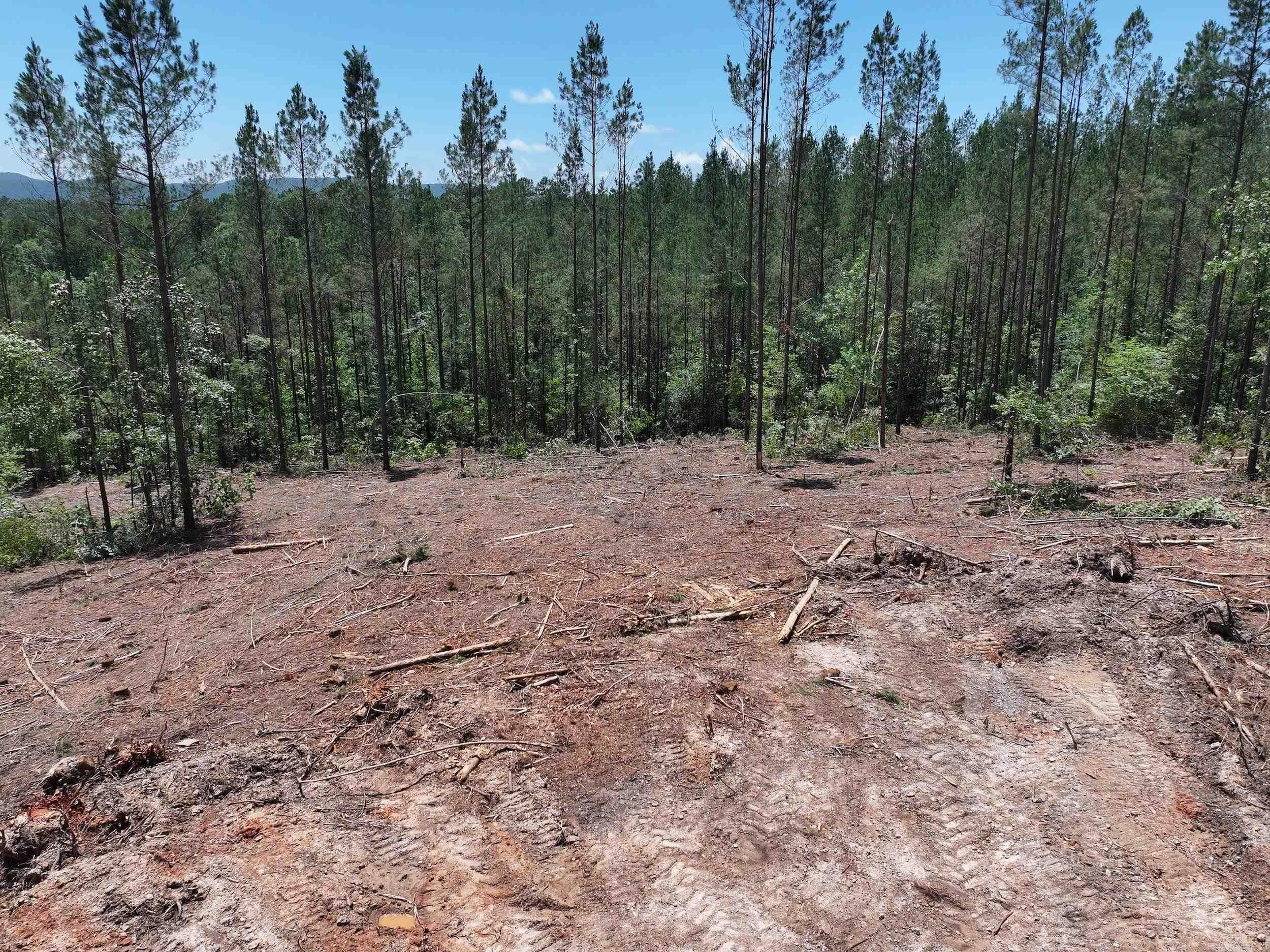 XXX PALMER MOUNTAIN Lot 1 Caddo Gap, AR