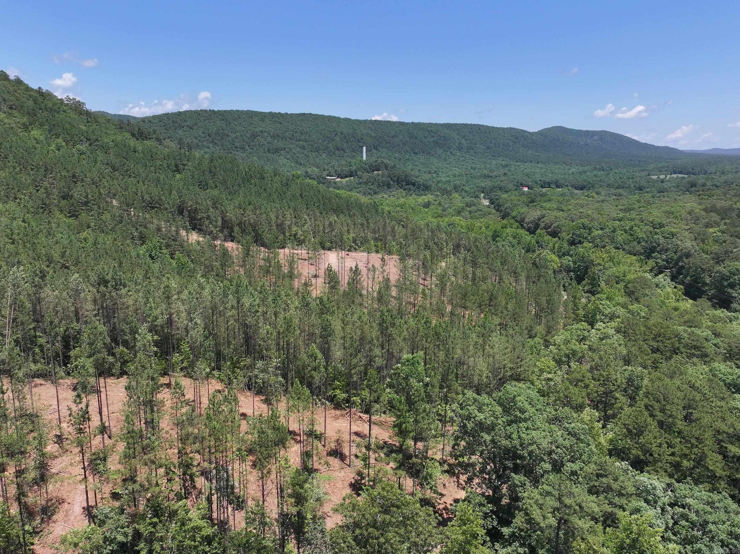XXX PALMER MOUNTAIN Lot 1 Caddo Gap, AR