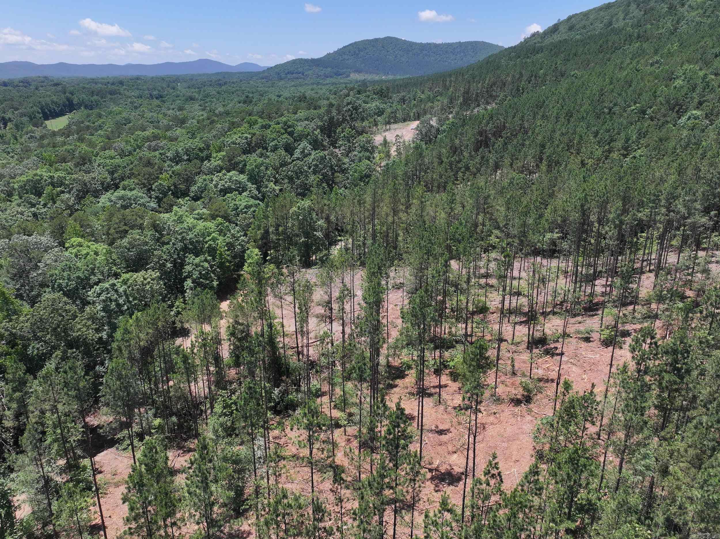XXX Palmer Mountain Lot 2 Caddo Gap, AR