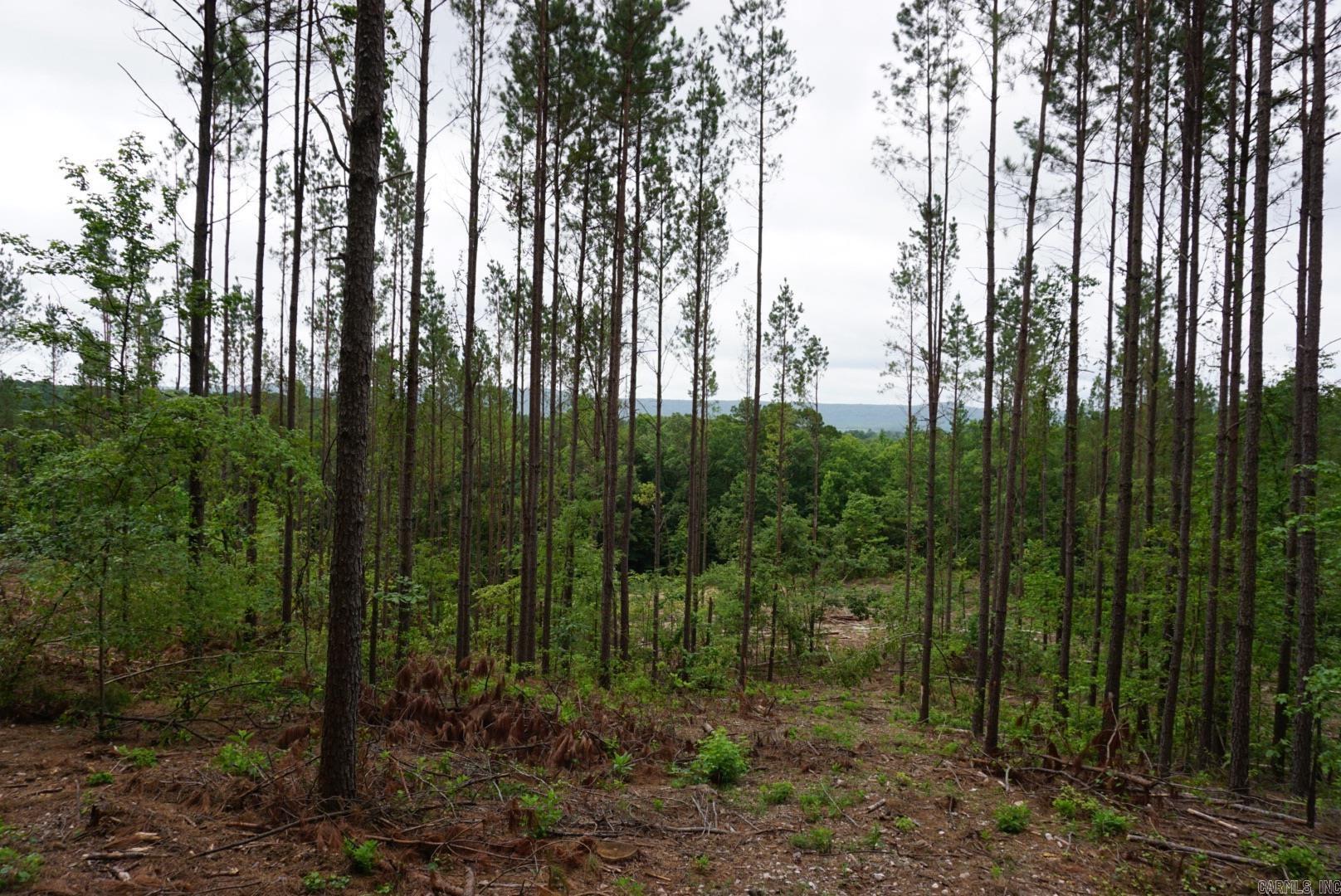 XXX Palmer Mountain Lot 2 Caddo Gap, AR