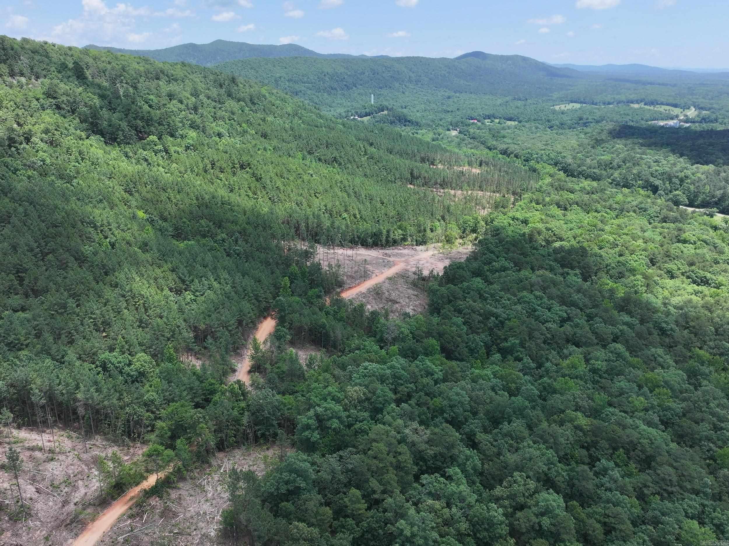 XXX Palmer Mountain Lot 2 Caddo Gap, AR