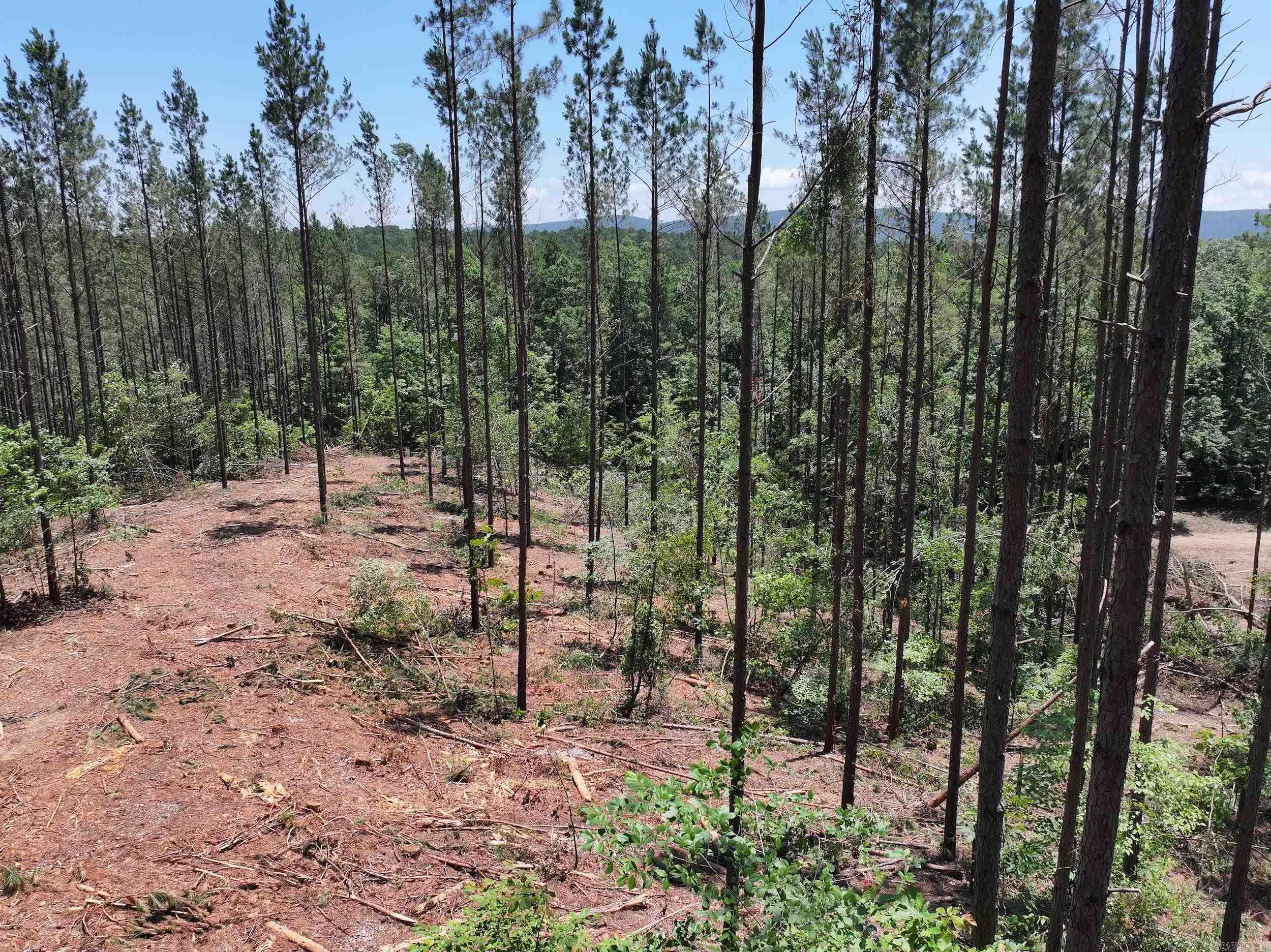 XXX Palmer Mountain Lot 2 Caddo Gap, AR