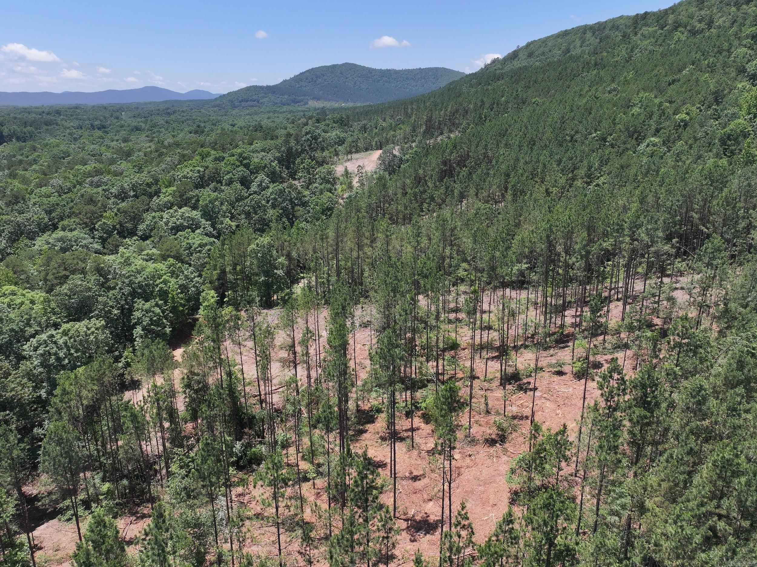 XXX Palmer Mountain Lot 2 Caddo Gap, AR