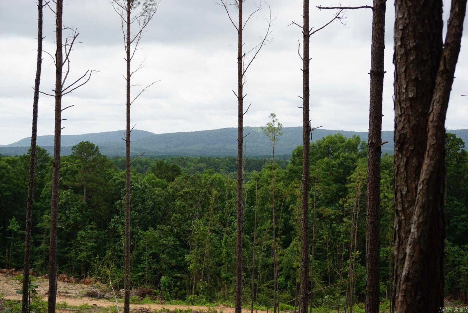 XXX Palmer Mountain Lot 2 Caddo Gap, AR