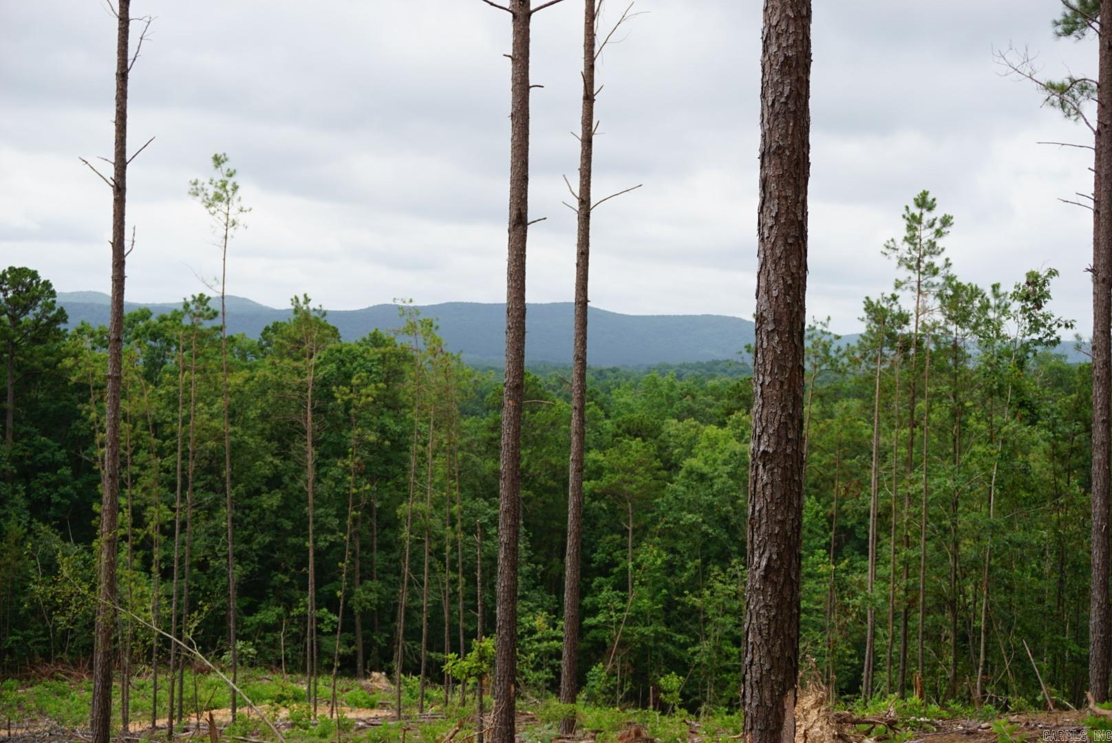 XXX Palmer Mountain Lot 2 Caddo Gap, AR