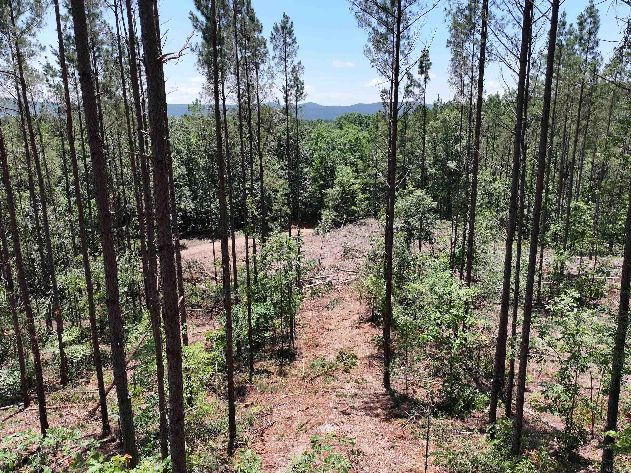 XXX Palmer Mountain Lot 2 Caddo Gap, AR