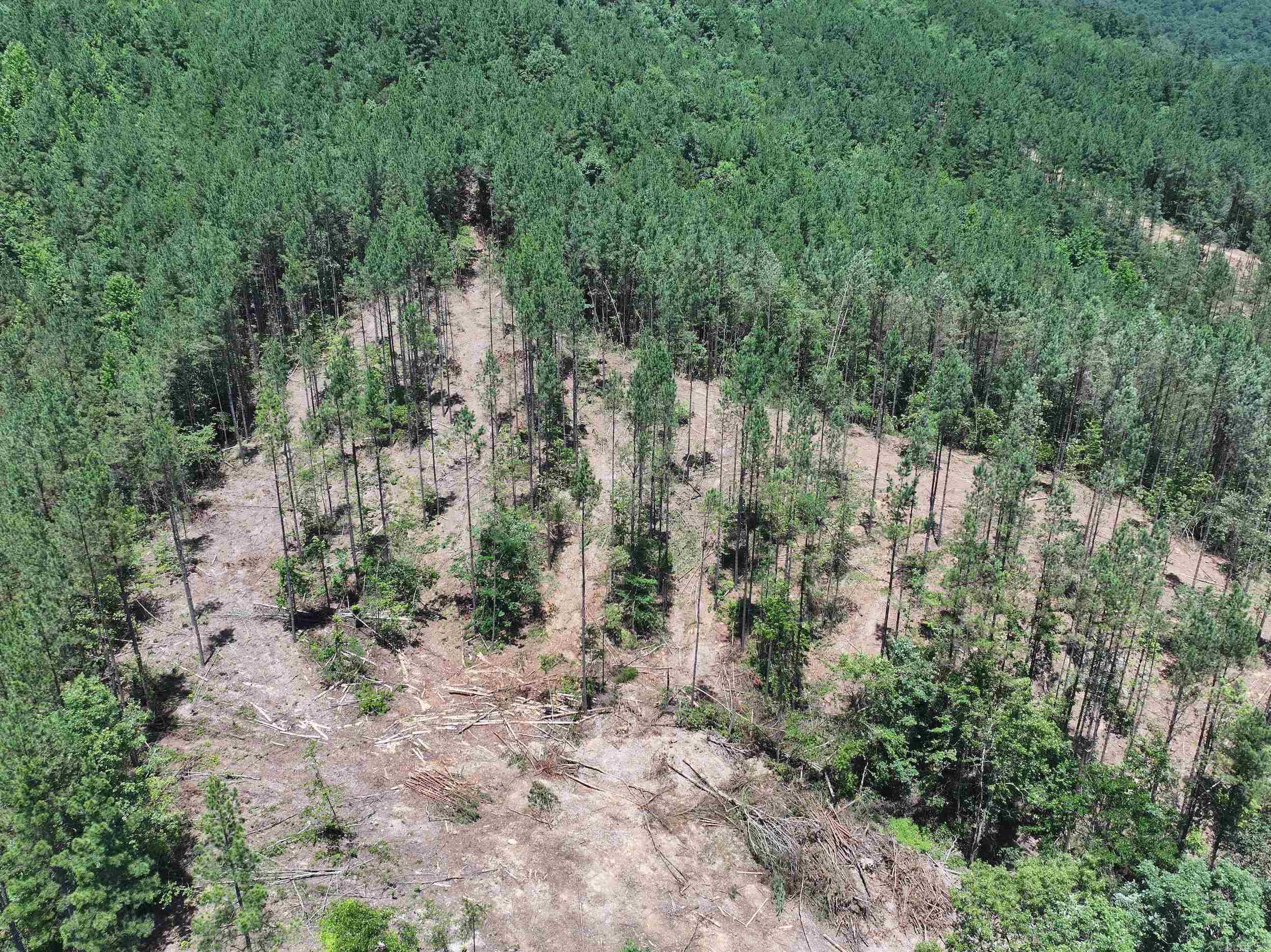 XXX Palmer Mountain Lot 2 Caddo Gap, AR