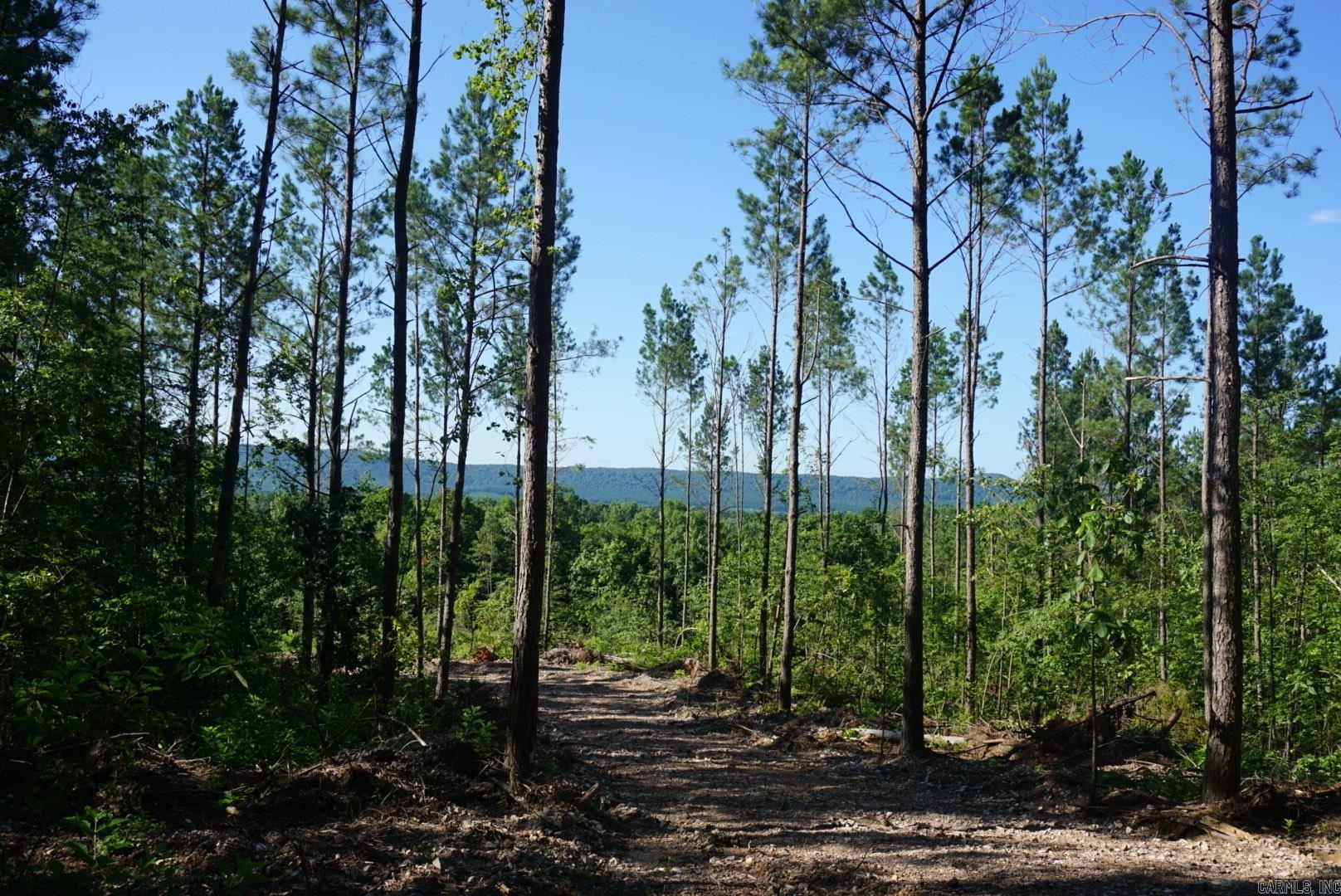 XXX Palmer Mountain Lot 2 Caddo Gap, AR