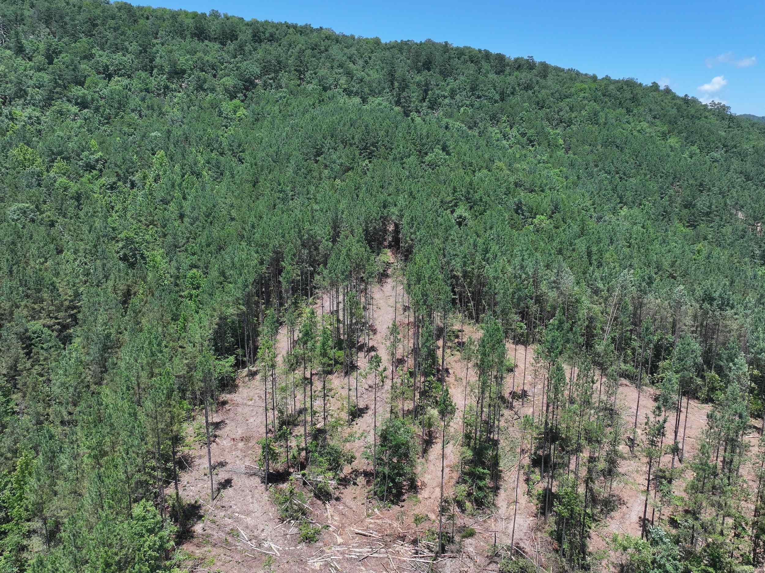 XXX Palmer Mountain Lot 2 Caddo Gap, AR