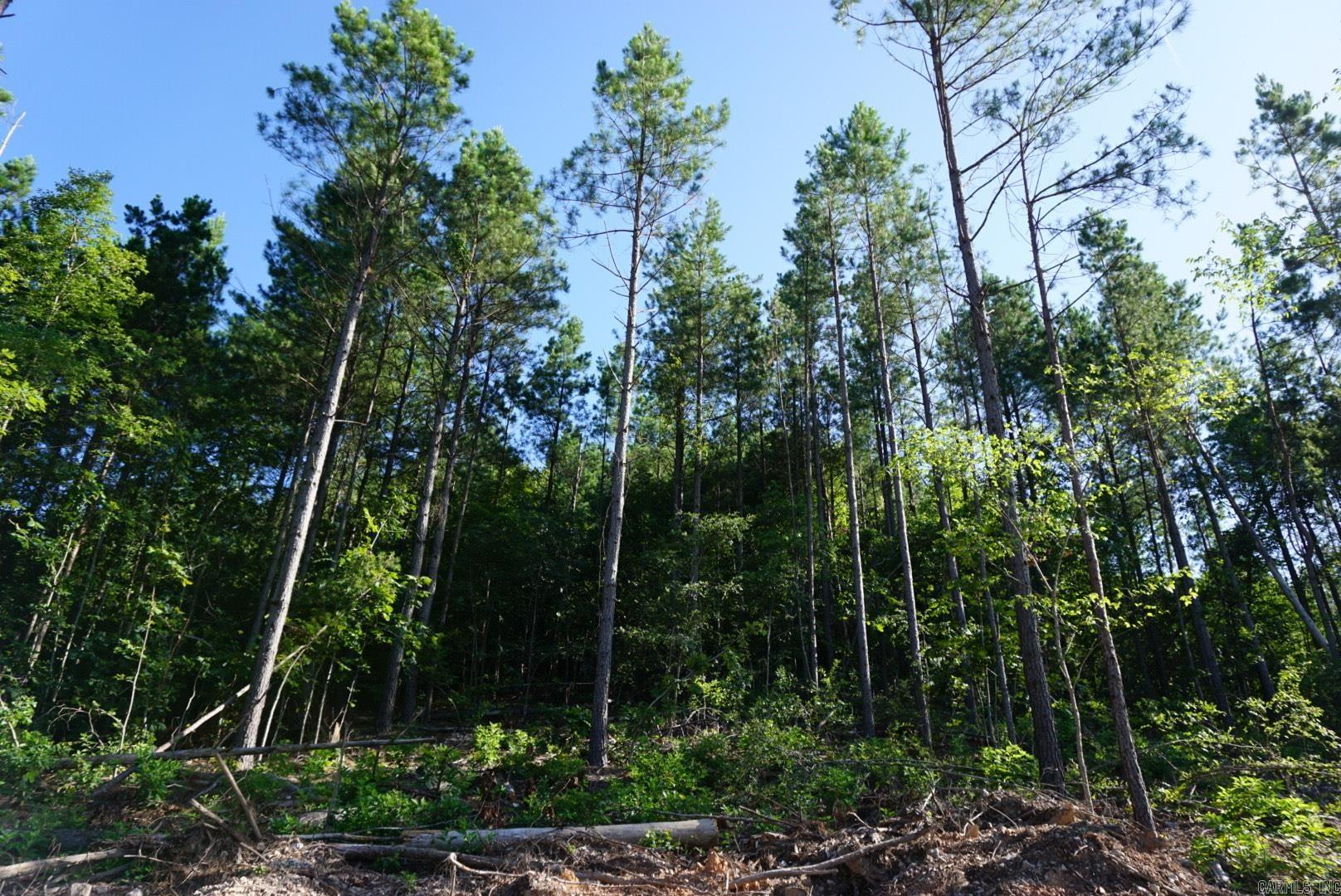 XXX Palmer Mountain Lot 2 Caddo Gap, AR