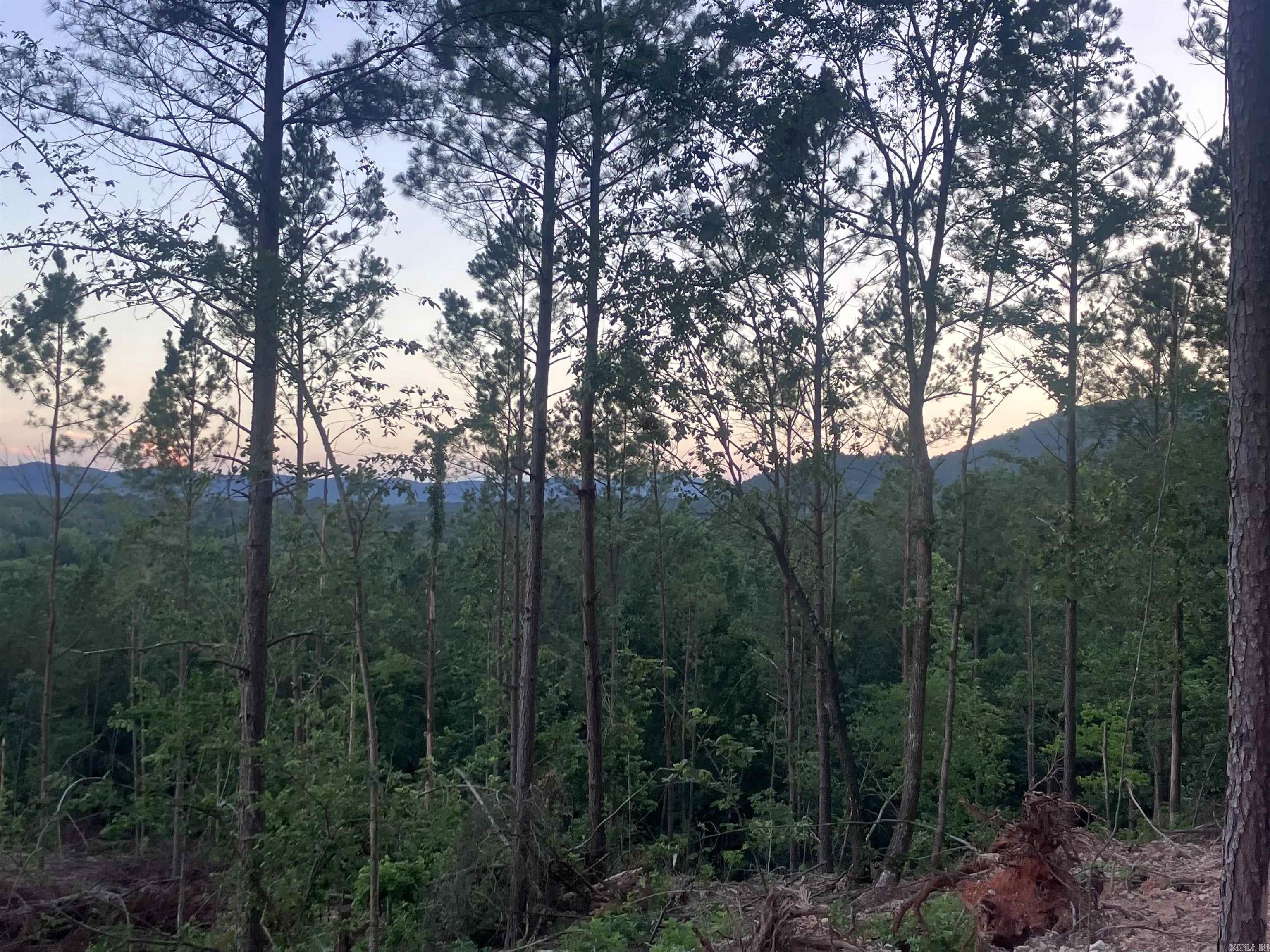 XXX Palmer Mountain Lot 2 Caddo Gap, AR