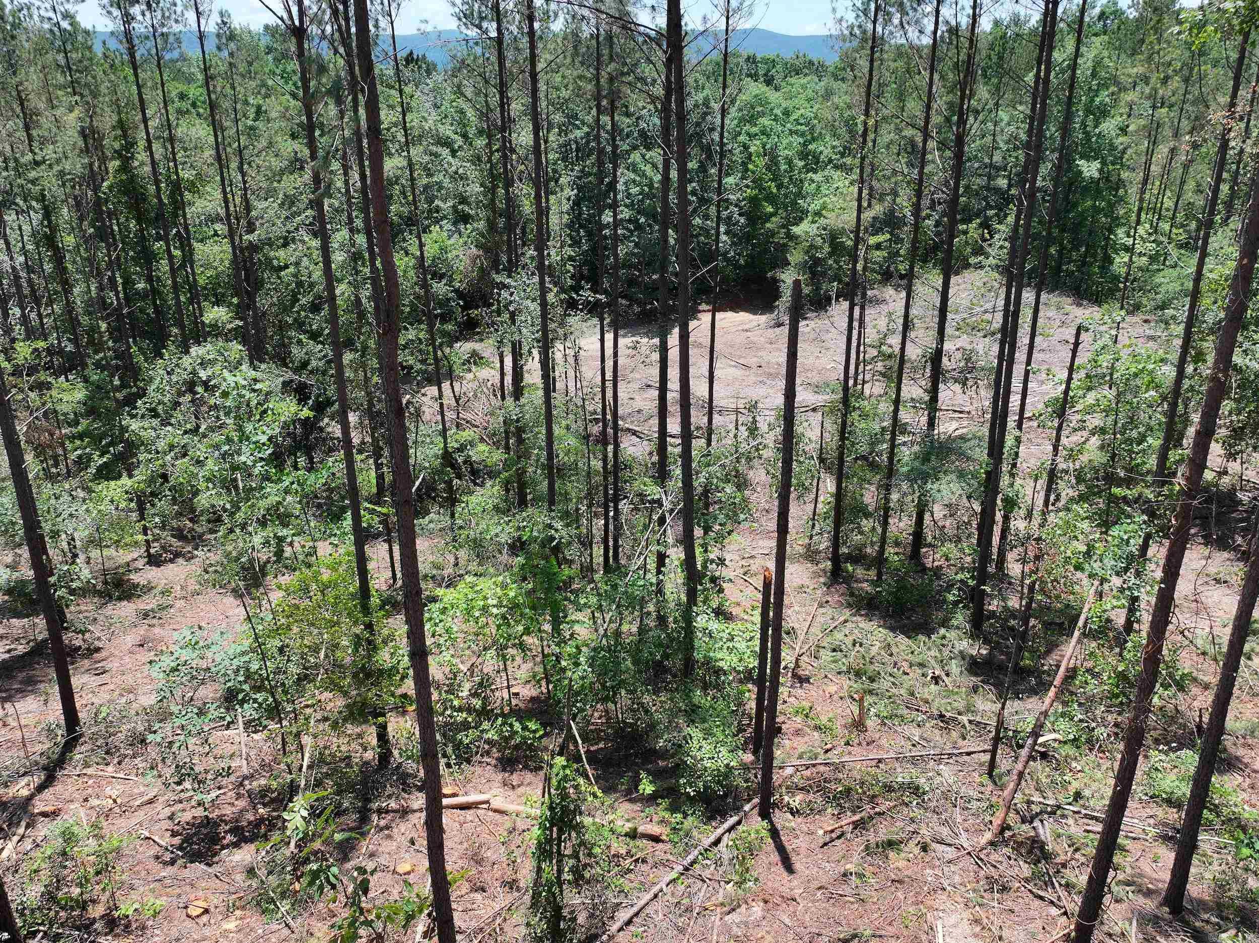 XXX Palmer Mountain Lot 2 Caddo Gap, AR