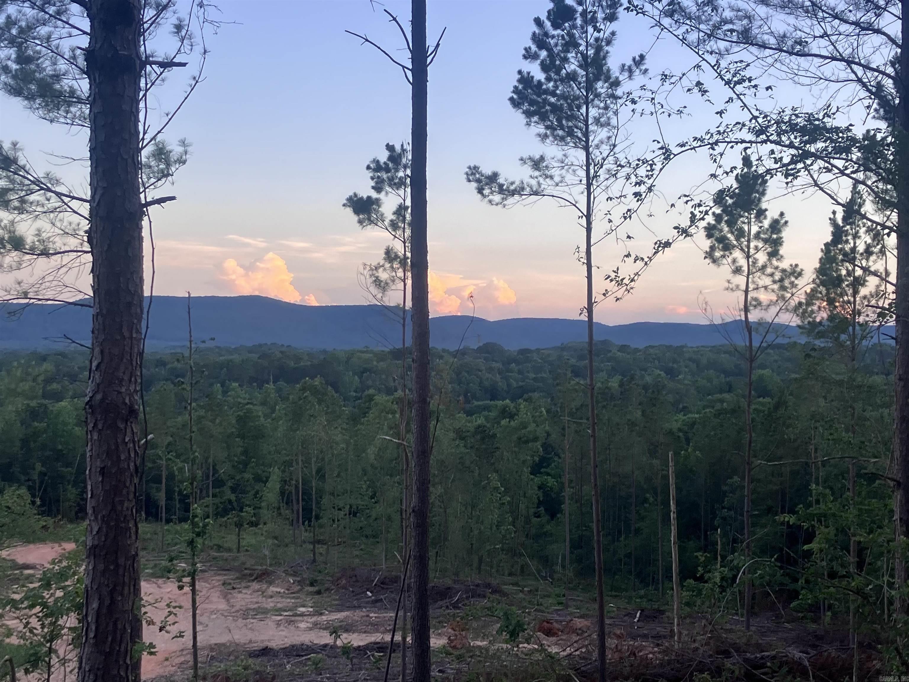 XXX Palmer Mountain Lot 2 Caddo Gap, AR