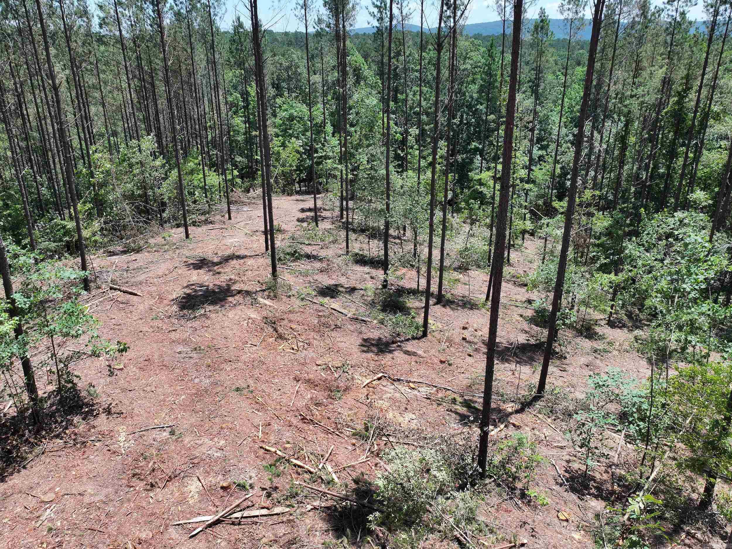 XXX Palmer Mountain Lot 2 Caddo Gap, AR