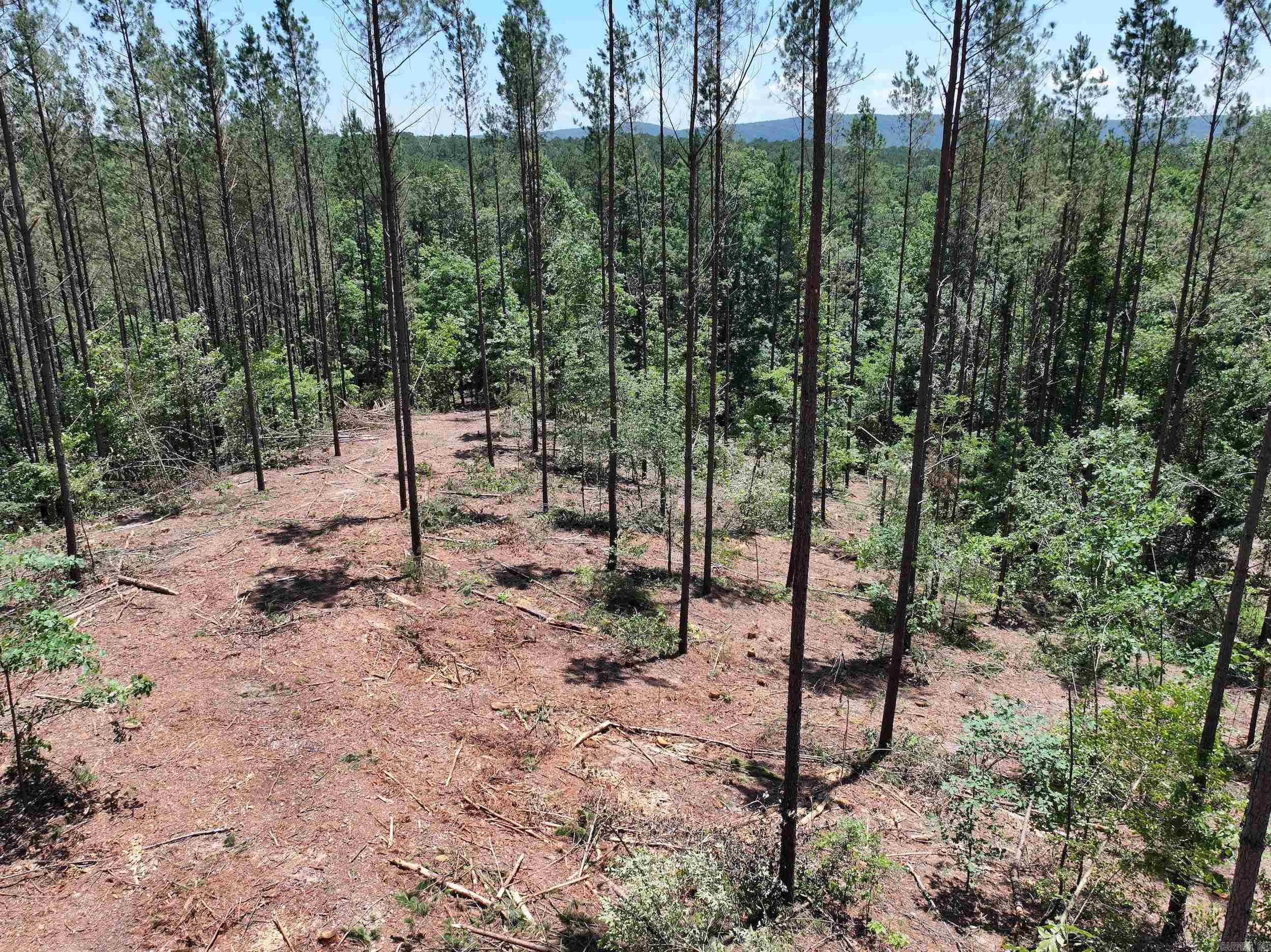 XXX Palmer Mountain Lot 2 Caddo Gap, AR
