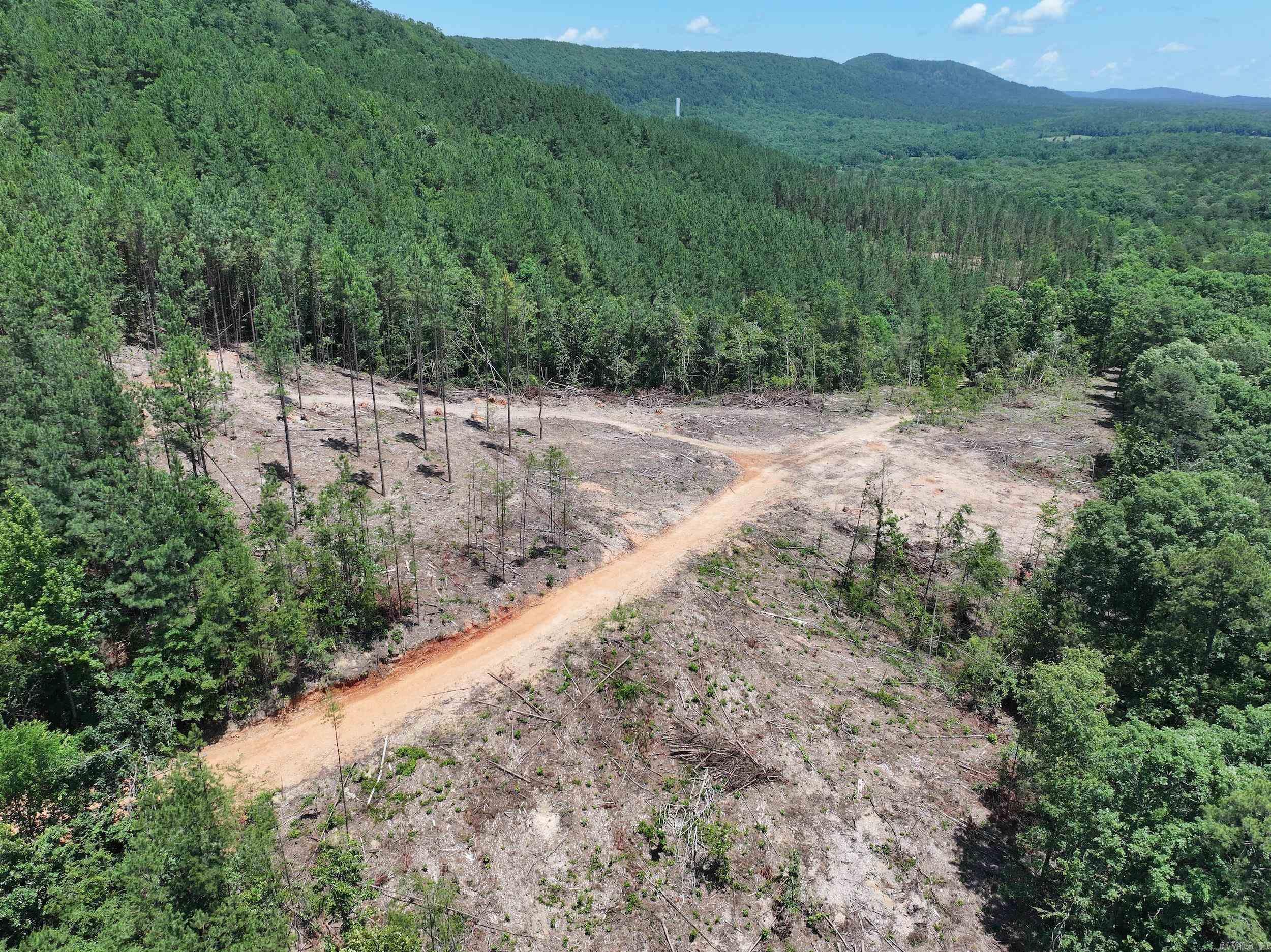 XXX Palmer Mountain Lot 3 Caddo Gap, AR