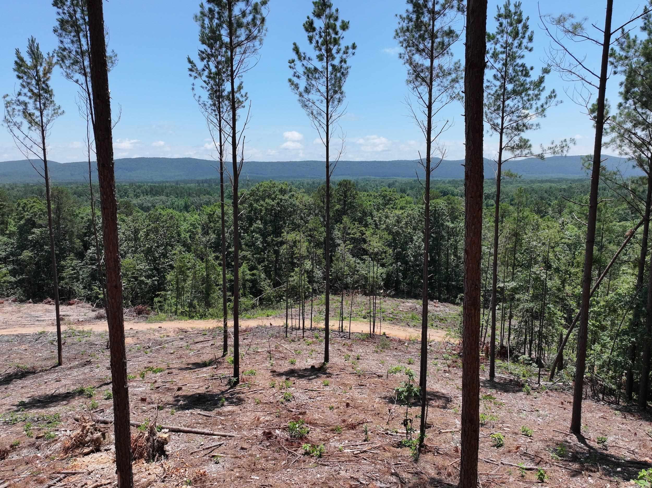 XXX Palmer Mountain Lot 3 Caddo Gap, AR