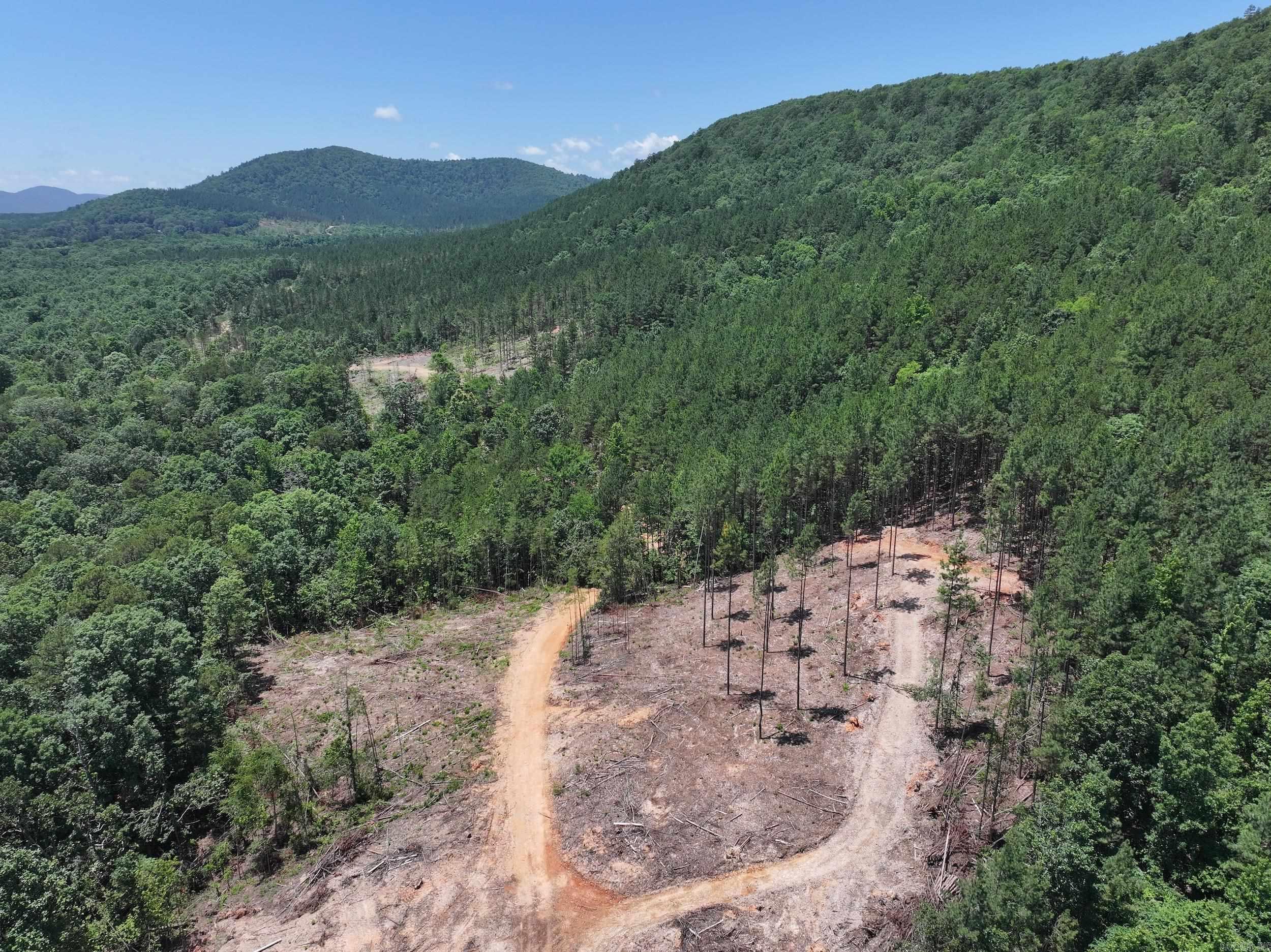XXX Palmer Mountain Lot 3 Caddo Gap, AR
