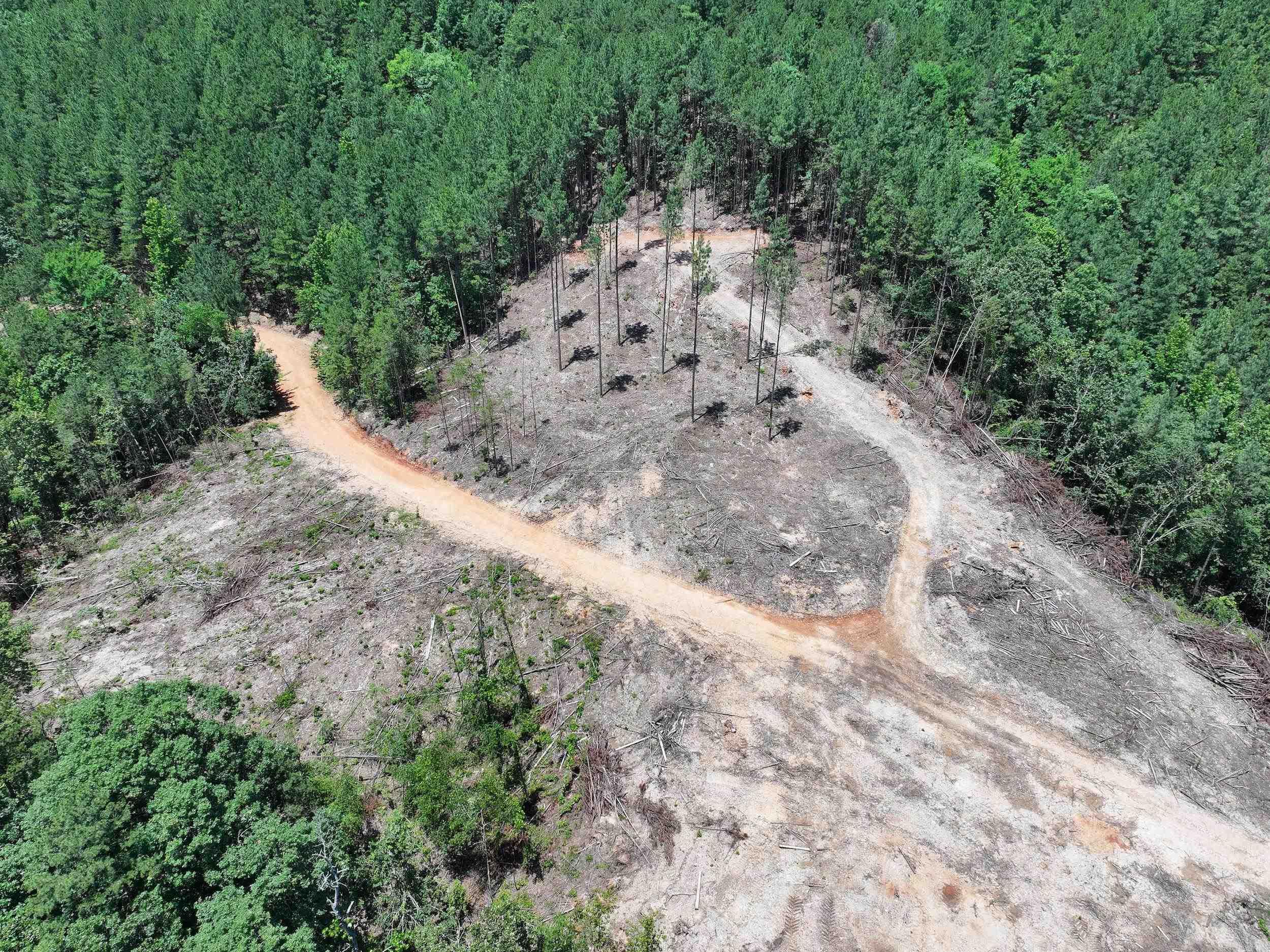 XXX Palmer Mountain Lot 3 Caddo Gap, AR
