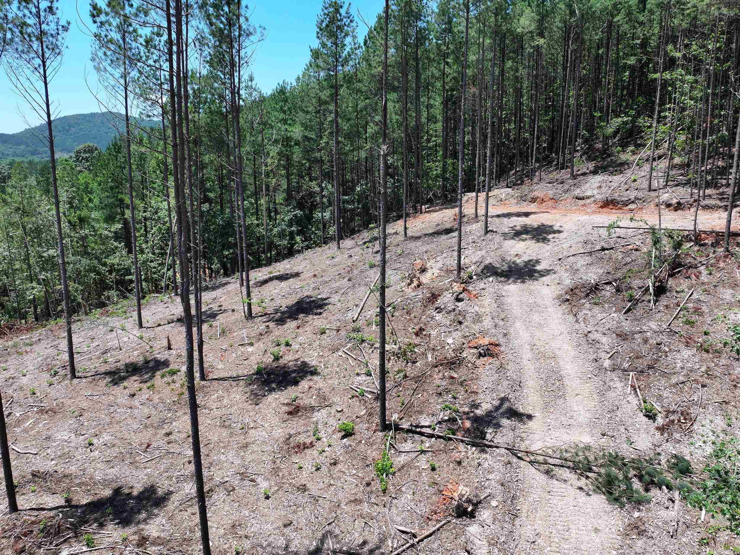 XXX Palmer Mountain Lot 3 Caddo Gap, AR