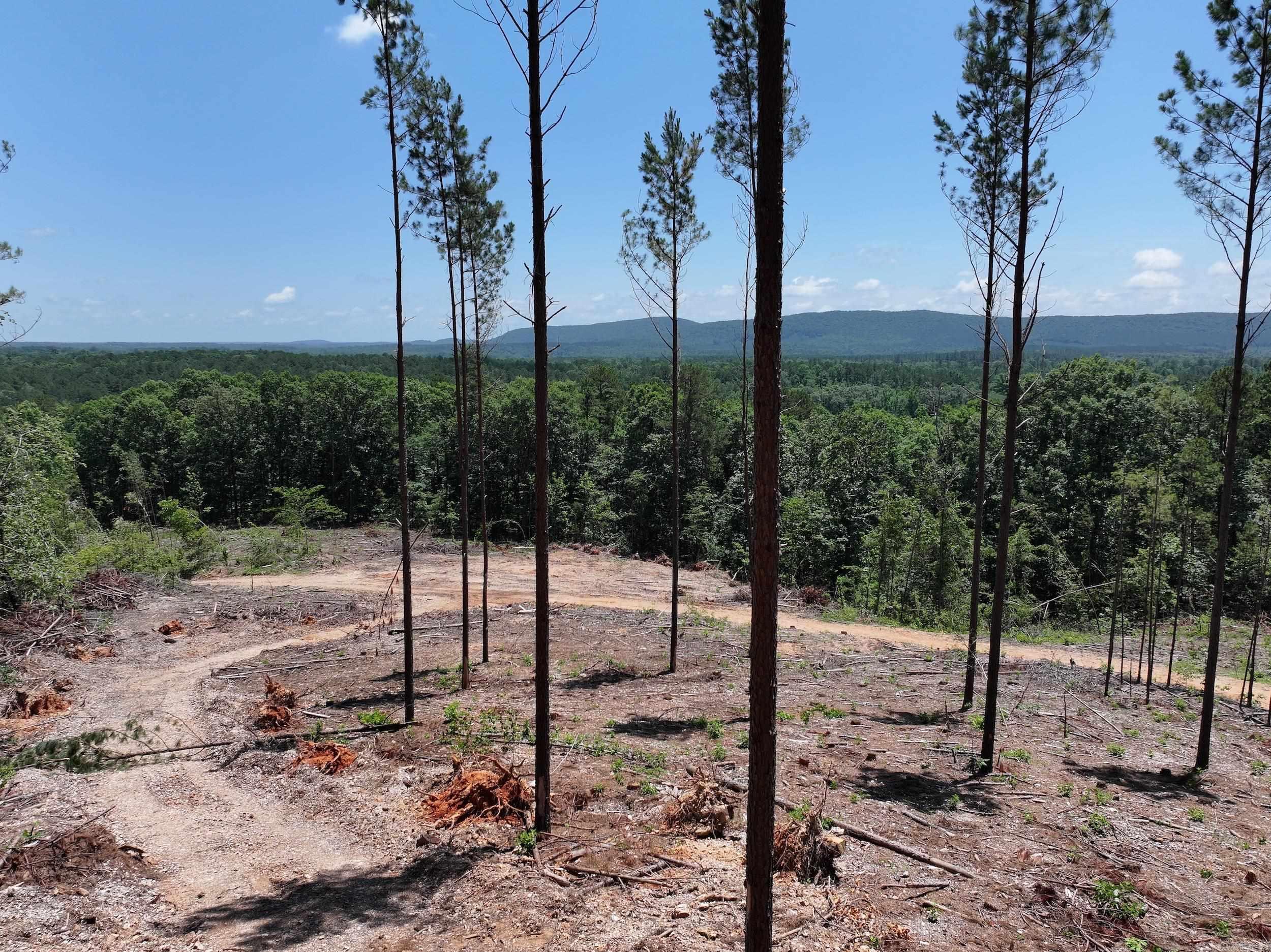 XXX Palmer Mountain Lot 3 Caddo Gap, AR