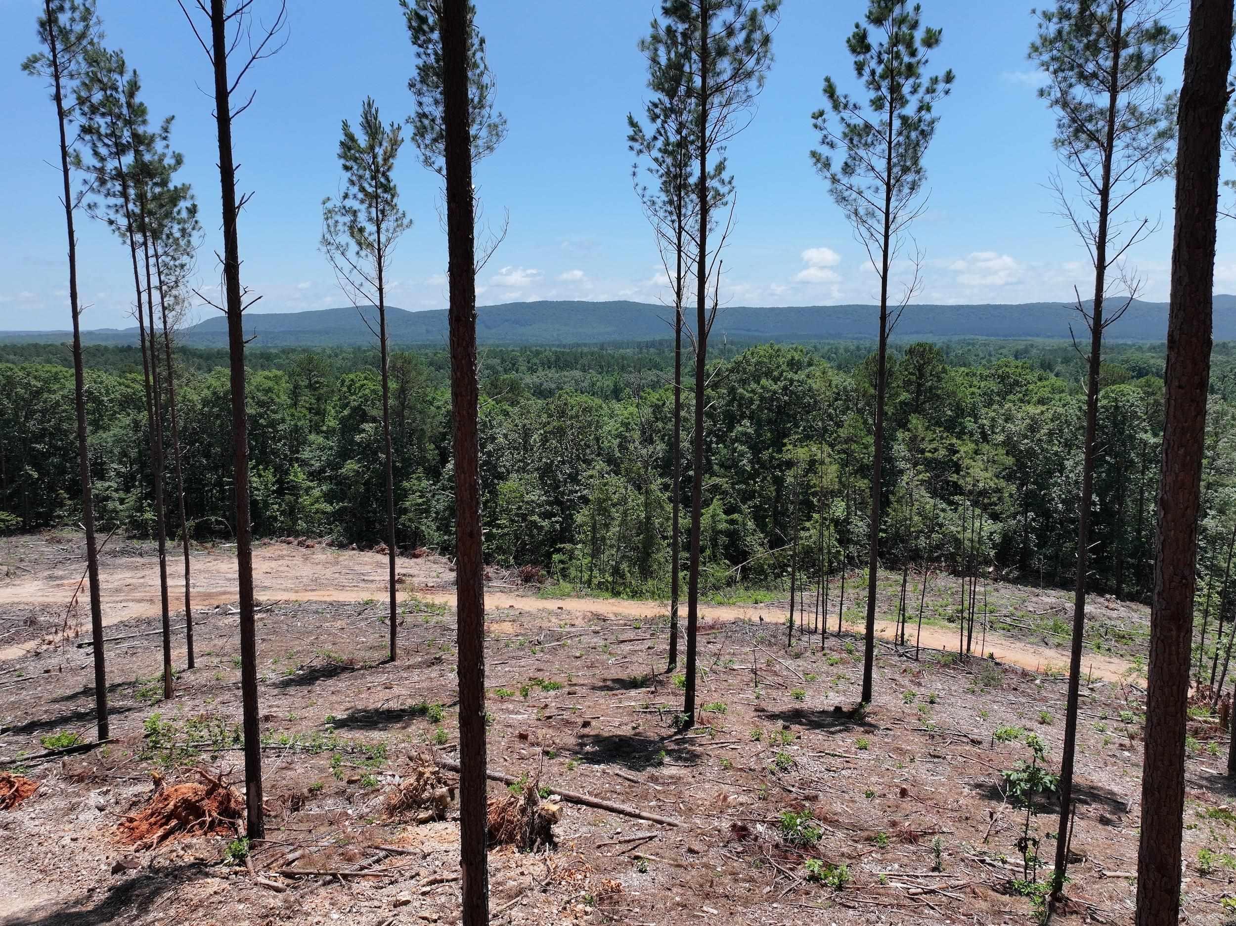 XXX Palmer Mountain Lot 3 Caddo Gap, AR