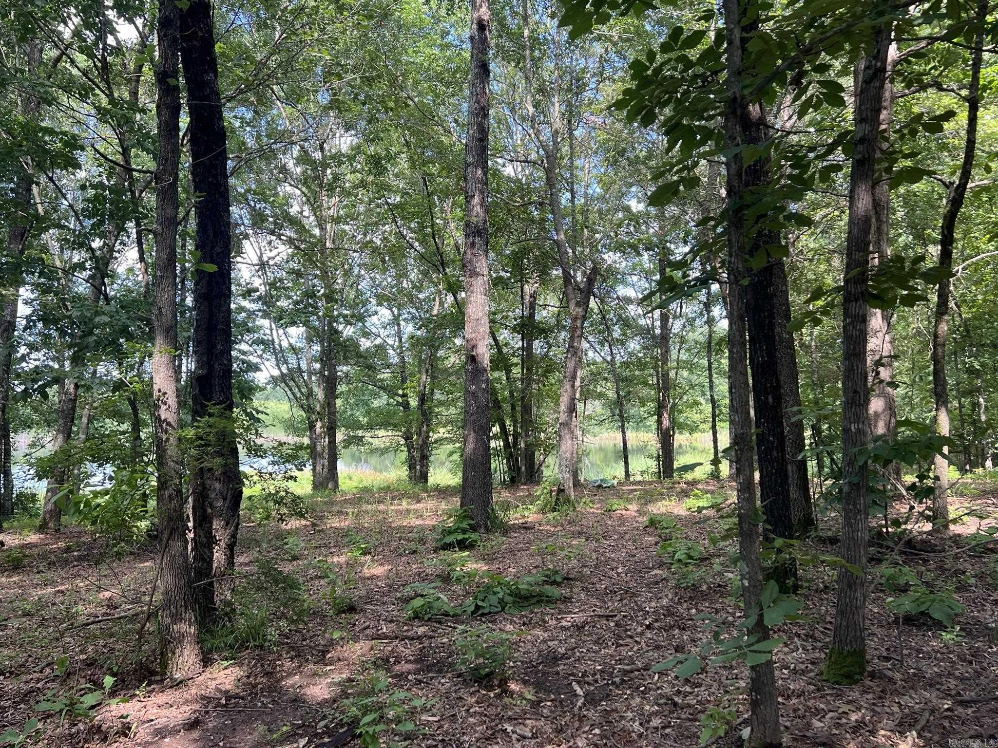 5942 JOEY LN  Texarkana, AR