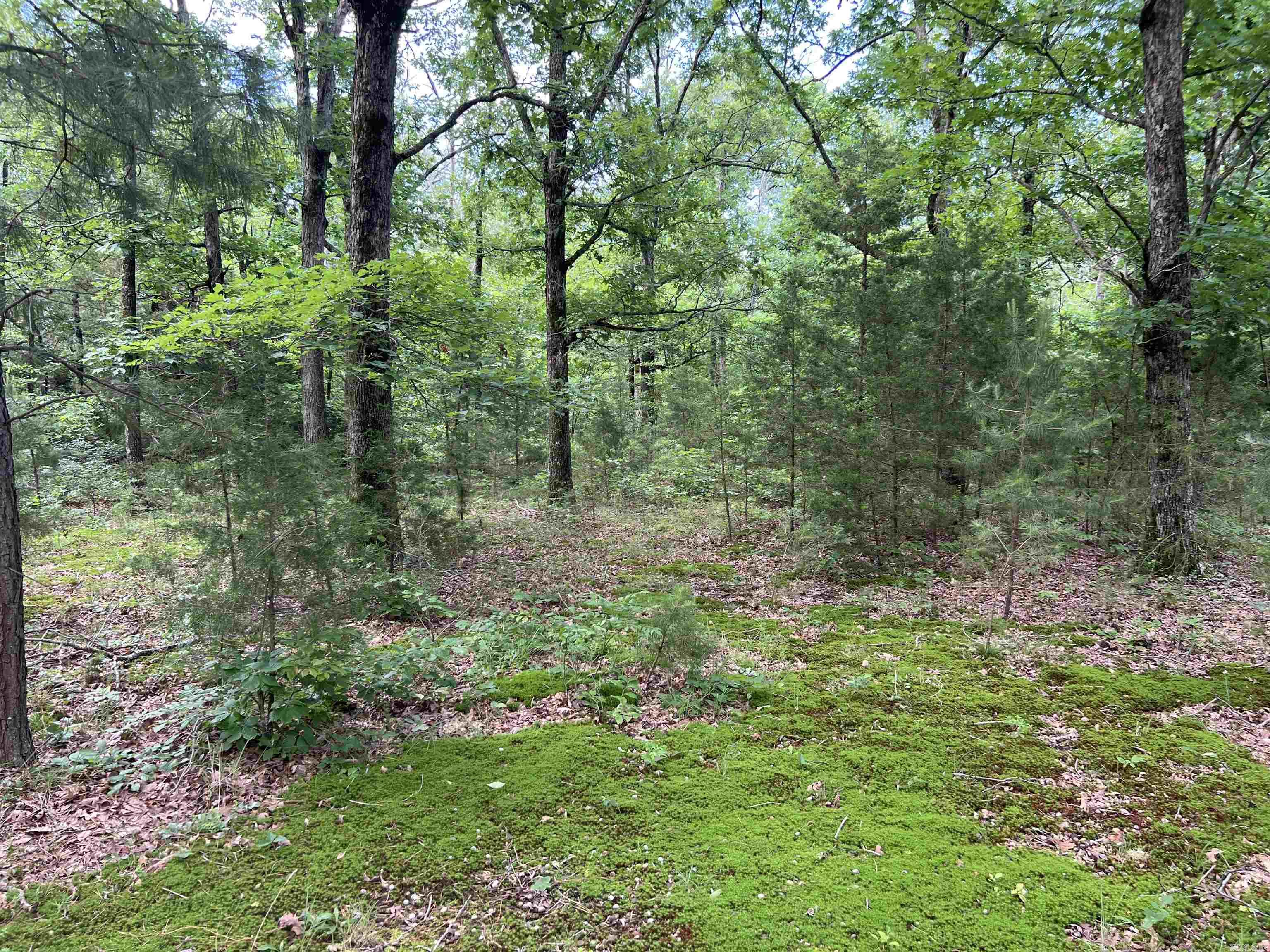 526 Iron Mountain  Mountain View, AR