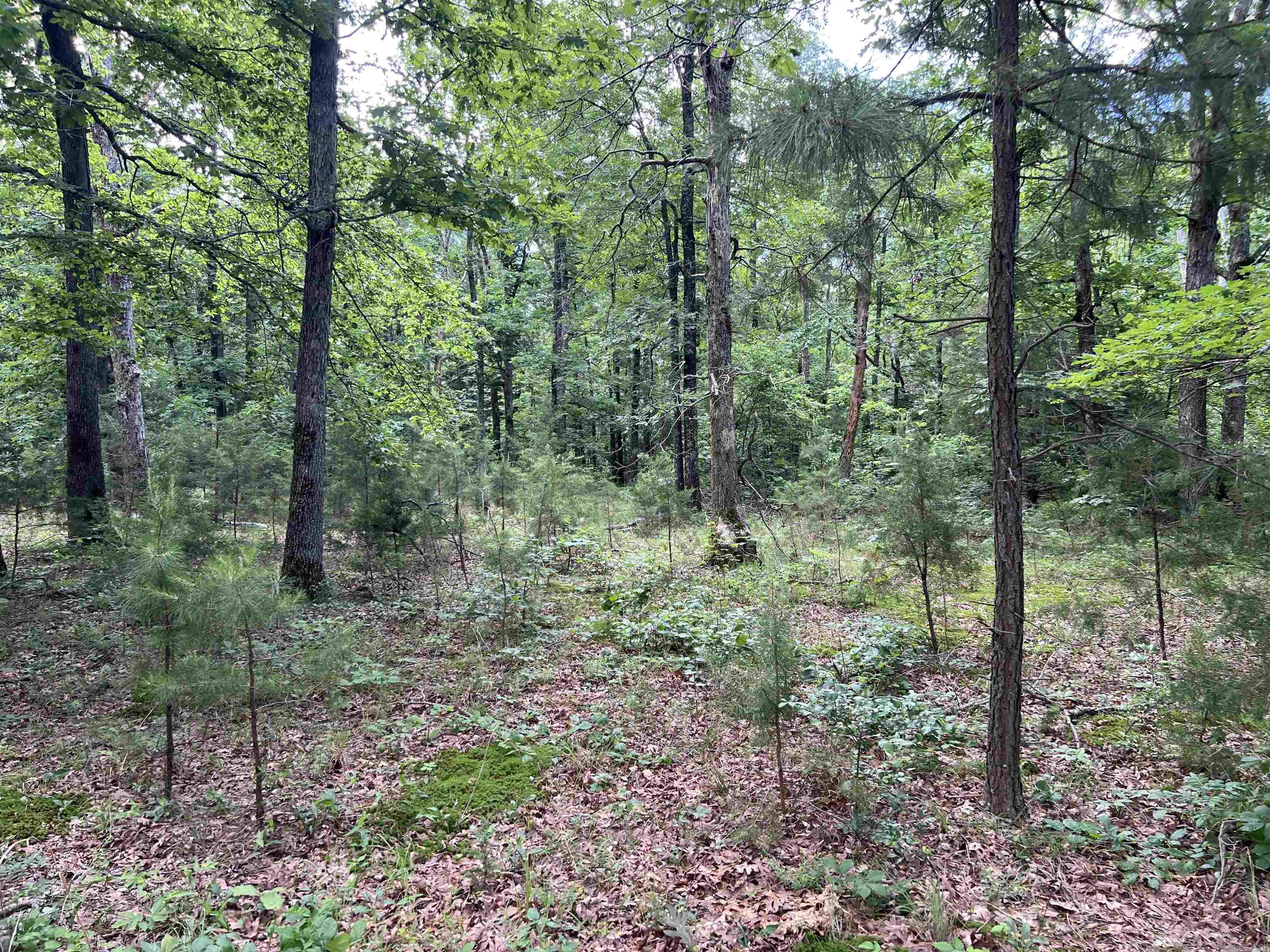 526 Iron Mountain  Mountain View, AR
