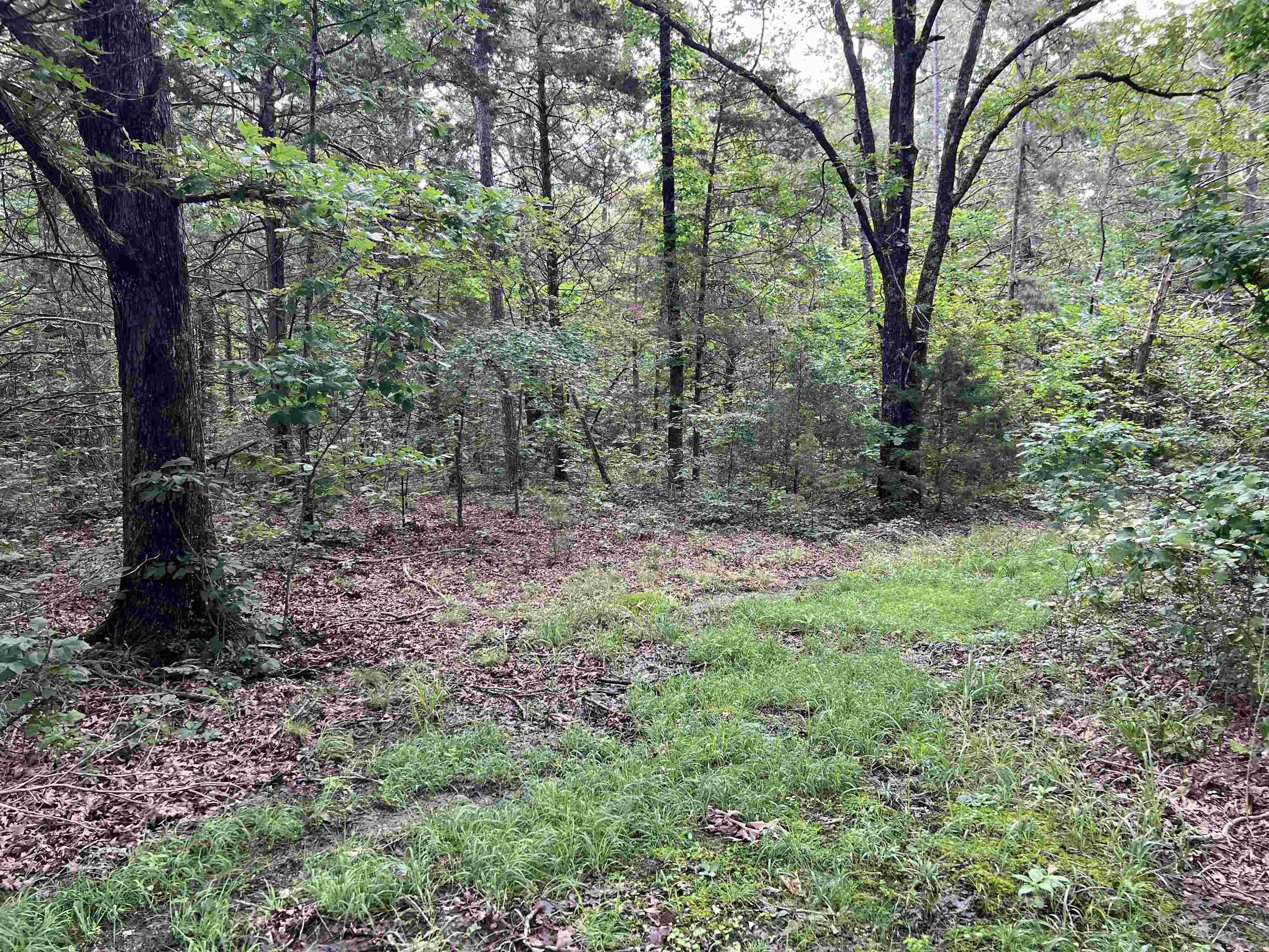 526 Iron Mountain  Mountain View, AR